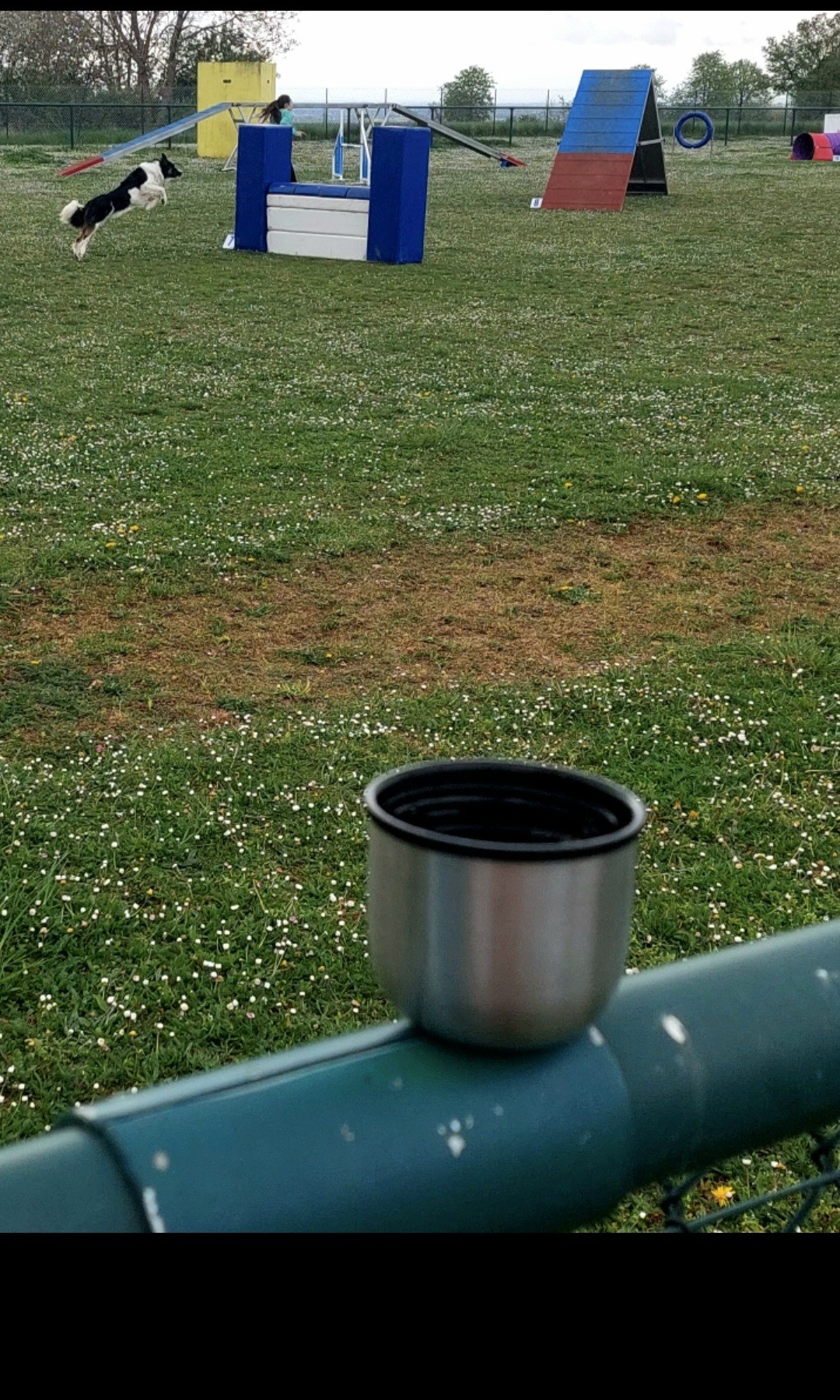 Café l'Or Absolu en grains 

Quoi de mieux que de déguster un bon café en regardant son chien faire une séance d'agility !