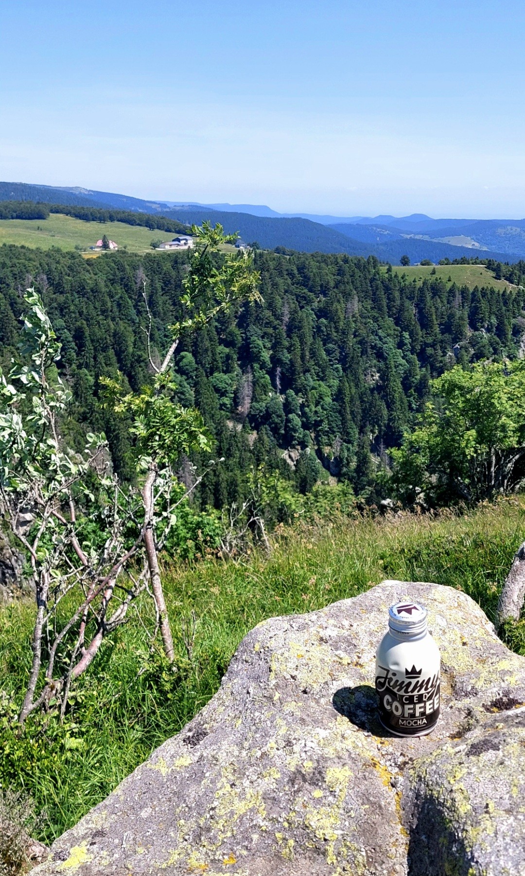 café Jimmy's Iced Coffee Mocha

Petite pause picnic dans les Vosges !!!