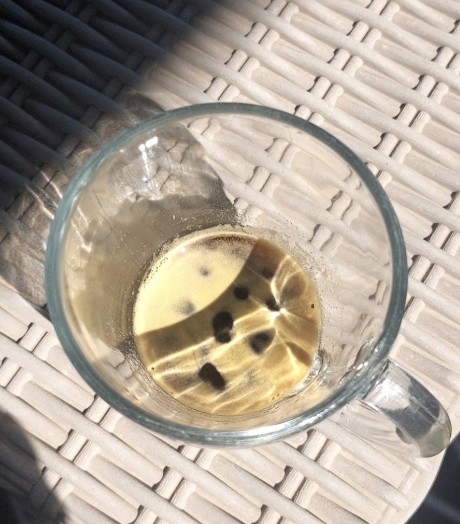 Café Meo Excellence en grains 

Expresso un peu court mais plein de saveurs en ce dimanche midi