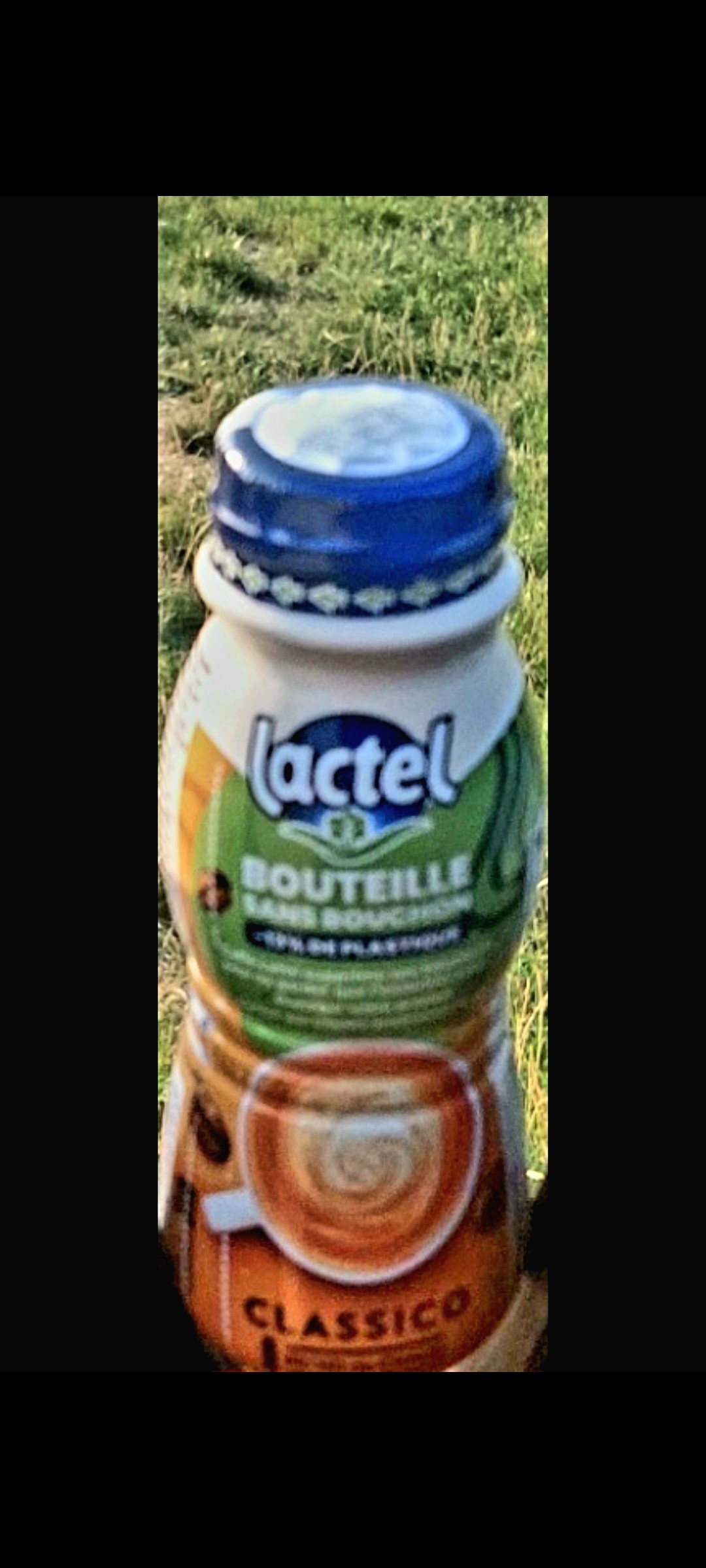 Lactel, café au lait glacé 

Petite balade au pré pour rendre visite aux chevaux accompagné d'un café au lait glacé.