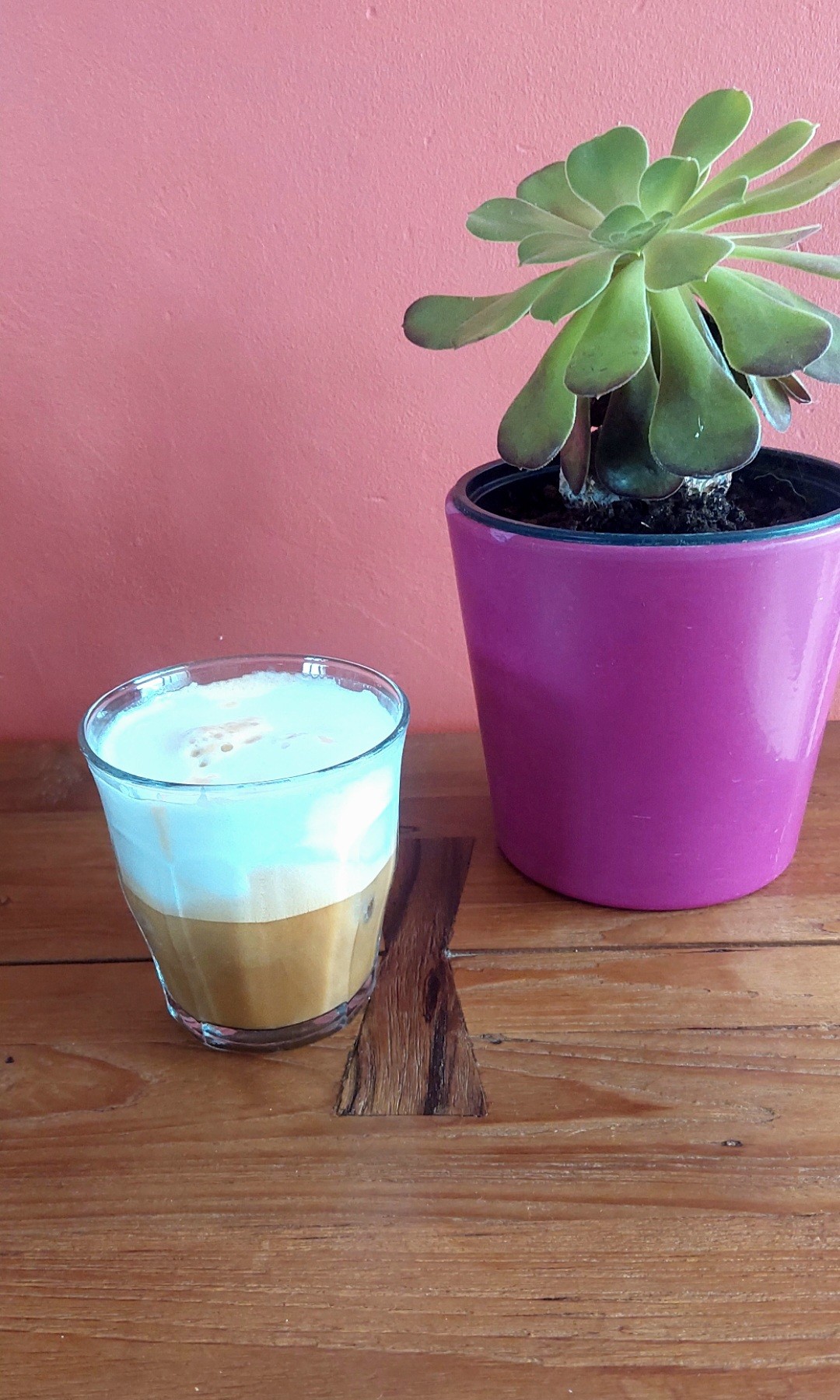 Café l'Or Absolu suprême intensité 13 en grains 

Café glacé : Expresso, lait de coco + glace 