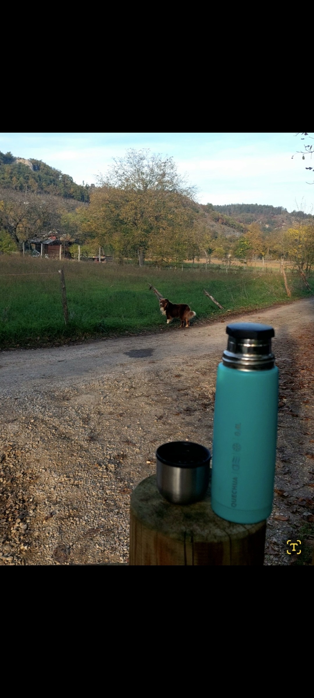 Café Way to Go en grains 

La balade des chiens heureux. 
Pause expresso 