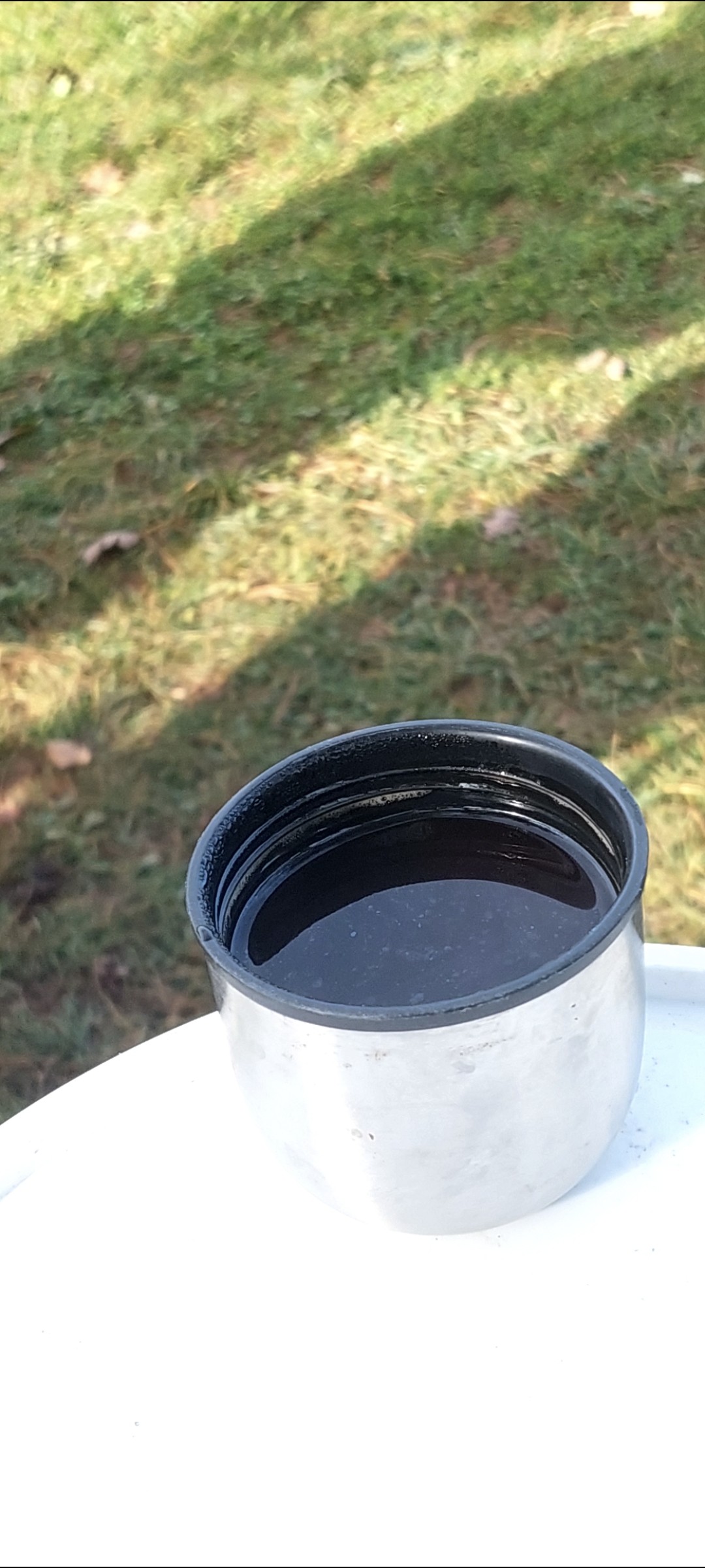 Café instantané Nescafé 

Ça dépanne faute de mieux
Entraînement Agility avec Tiboo et ses copains !