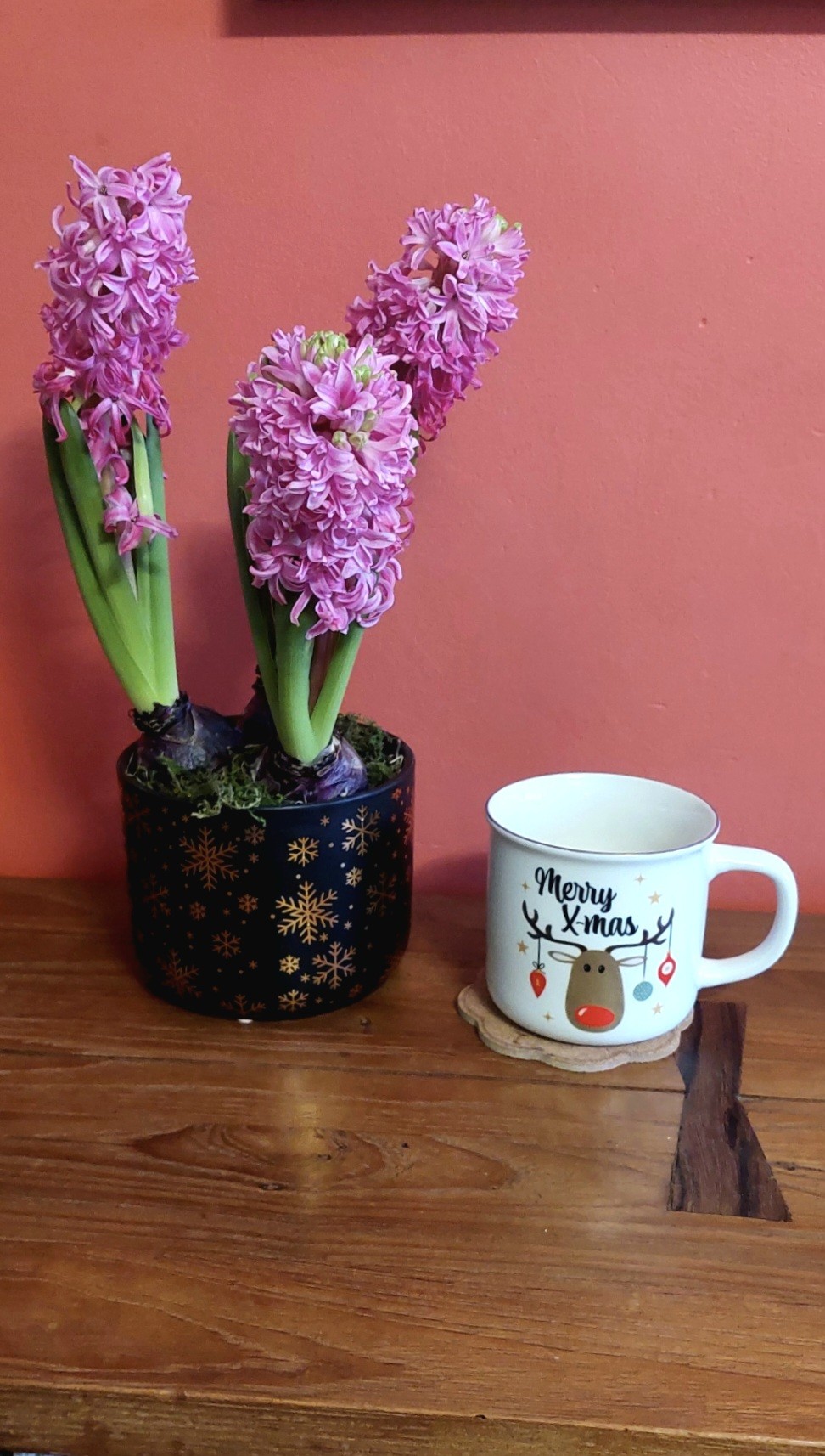 Joyeux Noël à tous !!!!