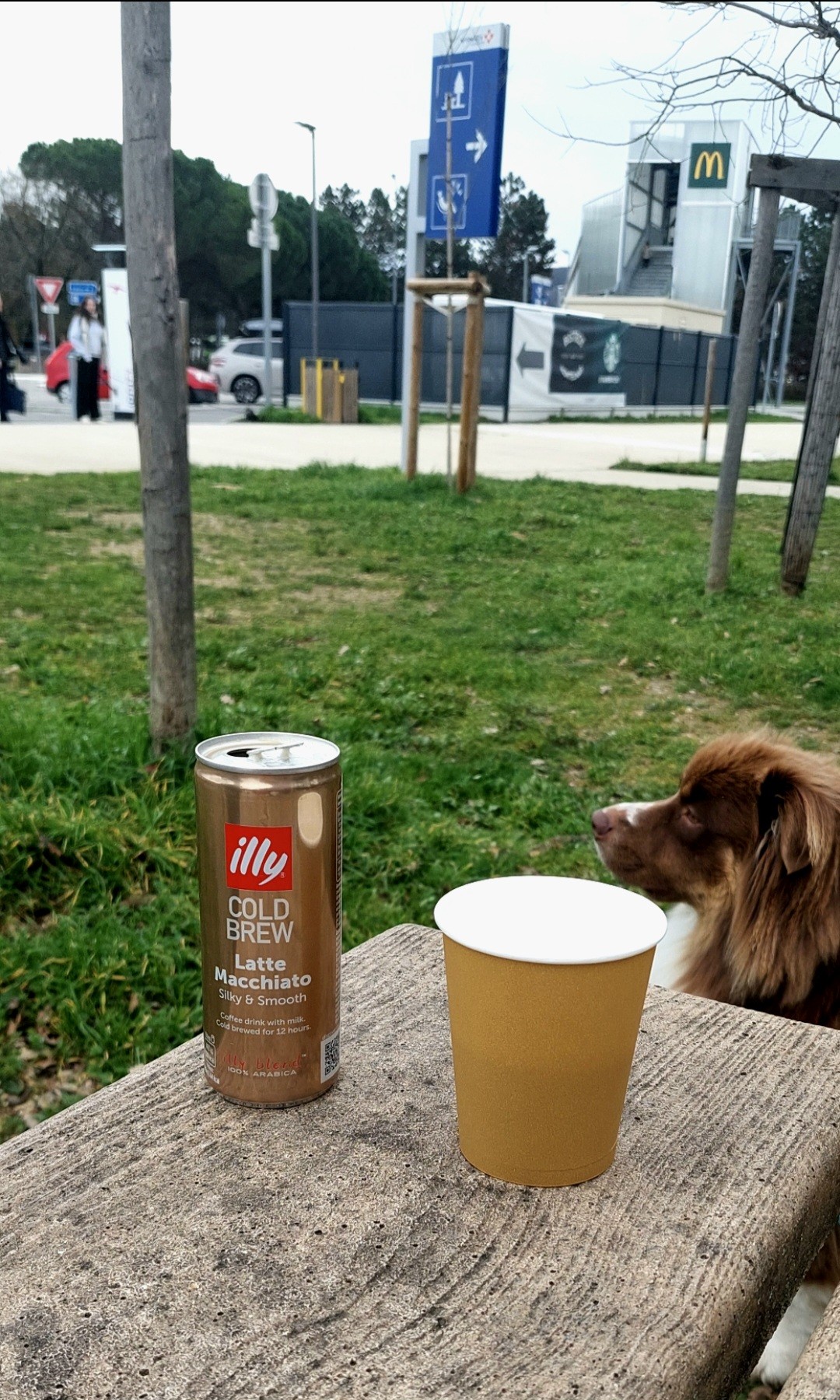 Illy Cold Brew Latte Macchiato Silky and smooth 

A nouveau sur la route 