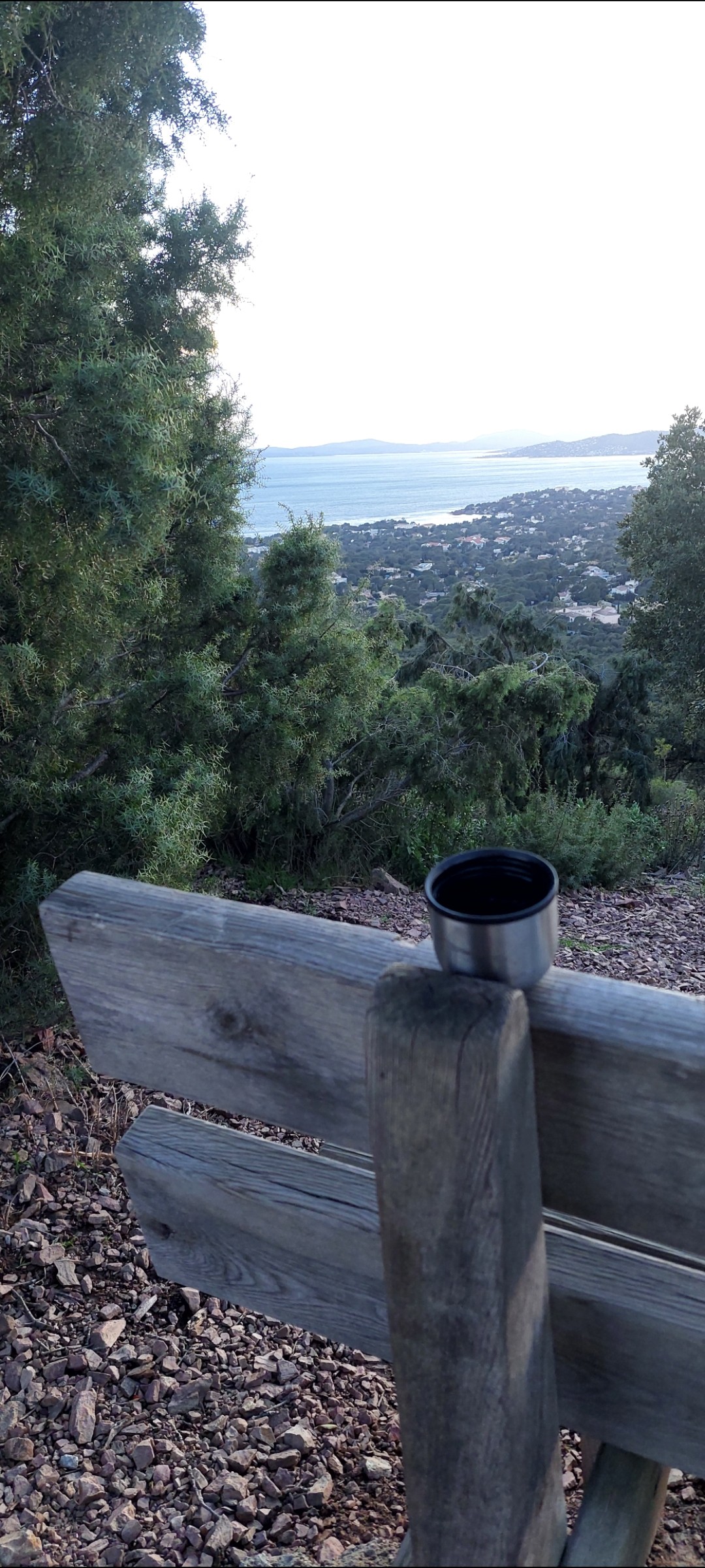 Café Meo Bio en grains 

Privatisation du massif forestier ;-)))