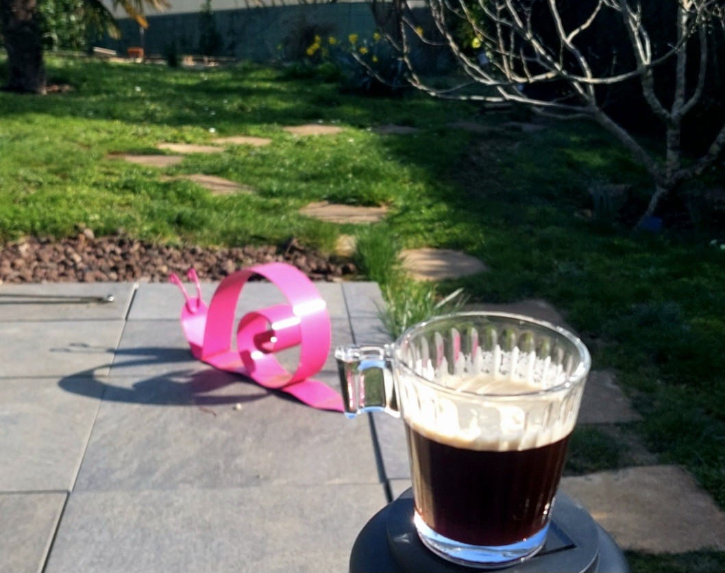 Café Naturela expresso barista bio en grains
Bonne nouvelle au jardin ! Les narcisses sont de sortie
Le printemps ne va pas tarder