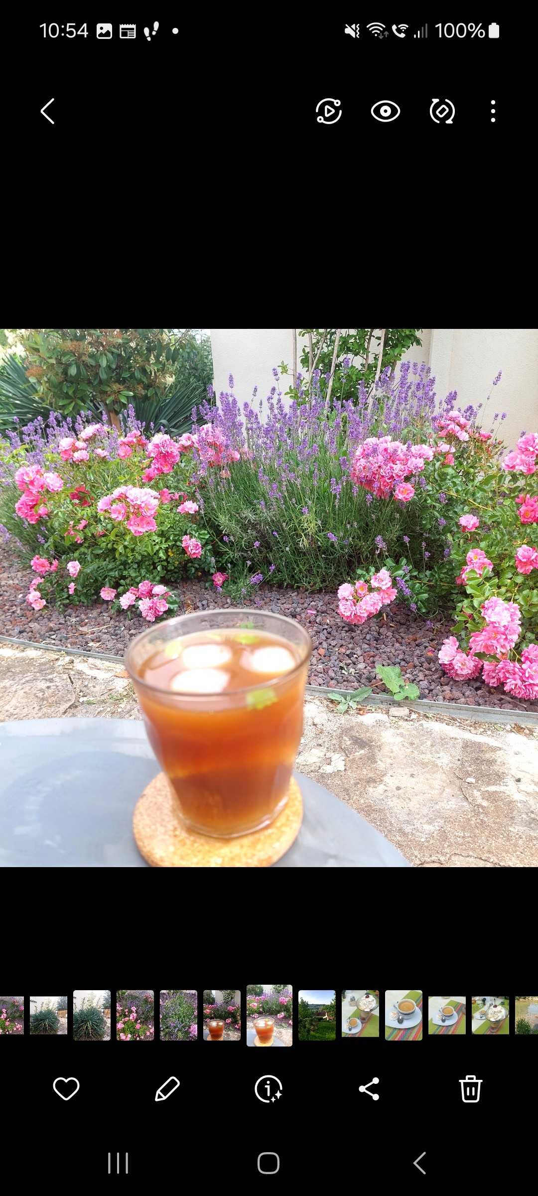 Café infusé glacé concentré d'agrumes 
Lavandes en fleurs 

Très addictif 