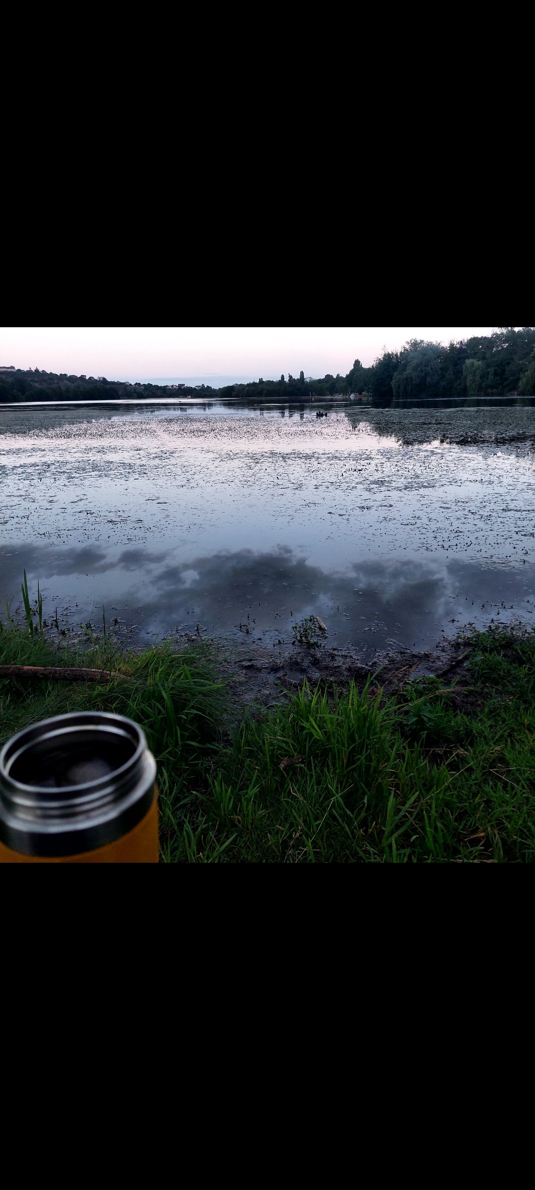 Fin de Picnic au lac