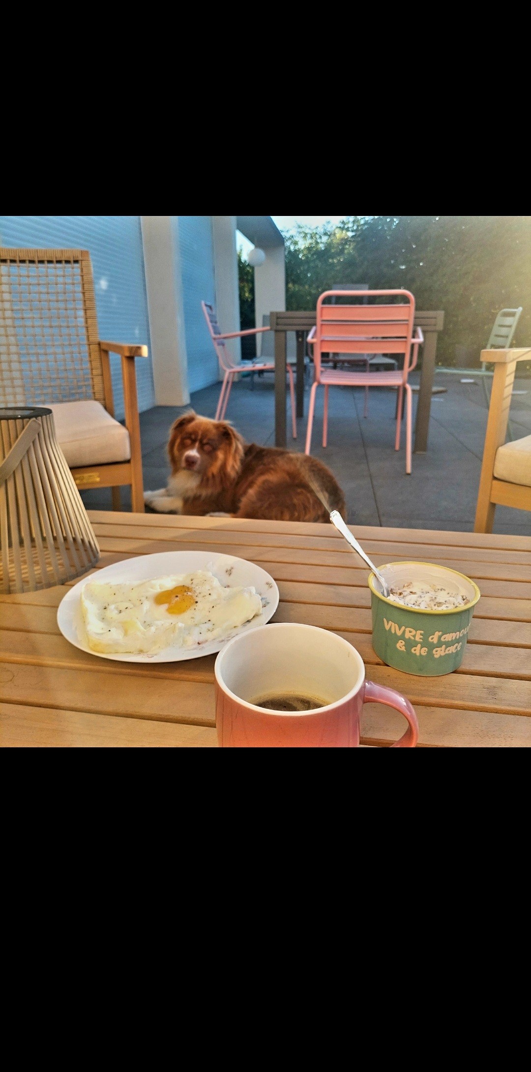 Café Destination Guatemala en grains 

Petit dejeuner avec Tiboo le chien tôt ce matin 