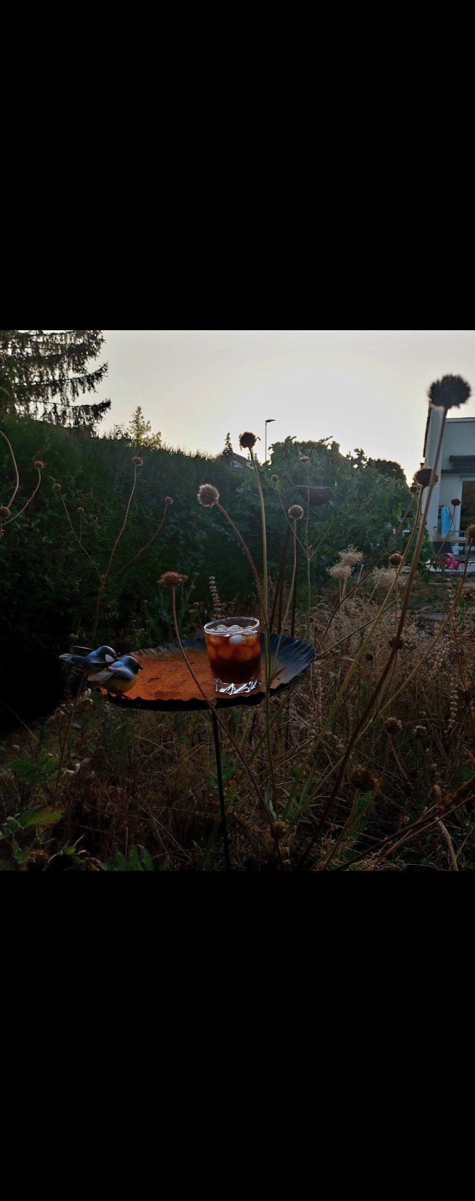 L'Or Pure Black 

Cold Brew en attendant l'éclipse 
2 ème photo tirée du journal local Le Bien Public 
