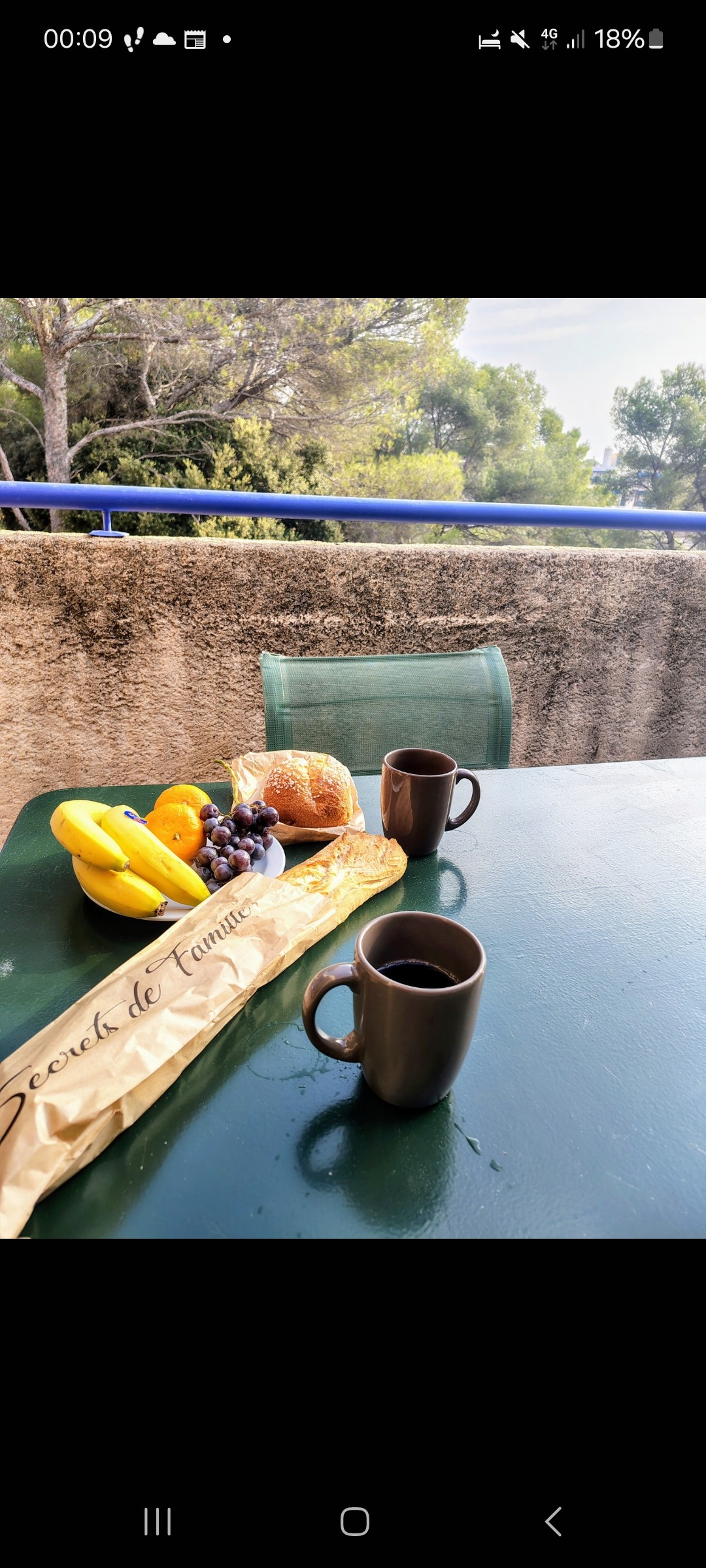 Planteur des tropiques - Salvador

Café filtre,  Brioche au sucre 
Pour bien commencer la journée 