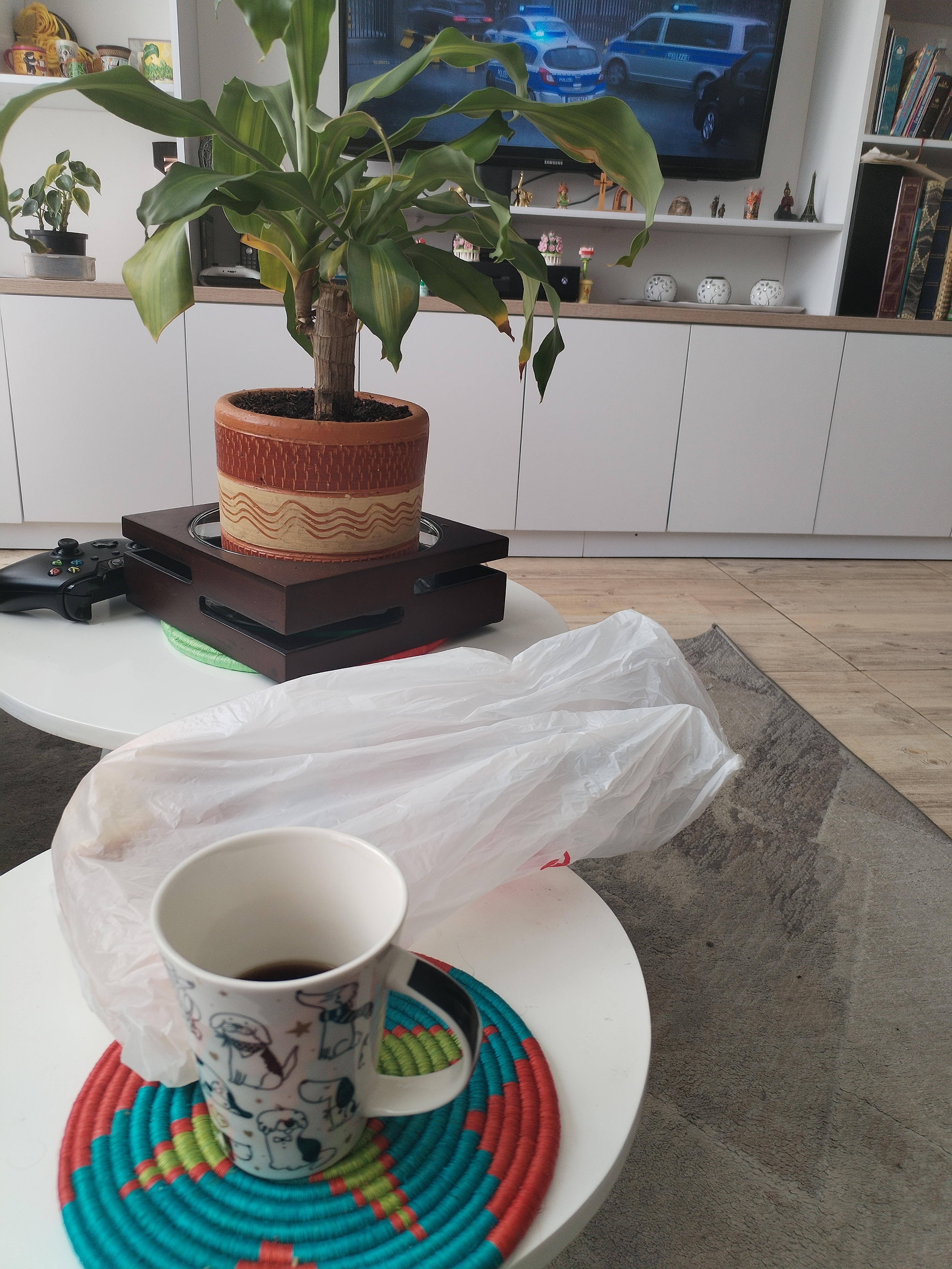 segundo cafecito del día está vez por patrocinio de mi primo, le quedó bastante parangacutuarimicaro 🧐osea bien 😼