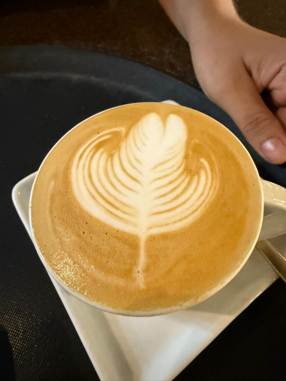 Bom dia e bom domingo a todos! Ainda aprendendo essa técnica de latte art. 