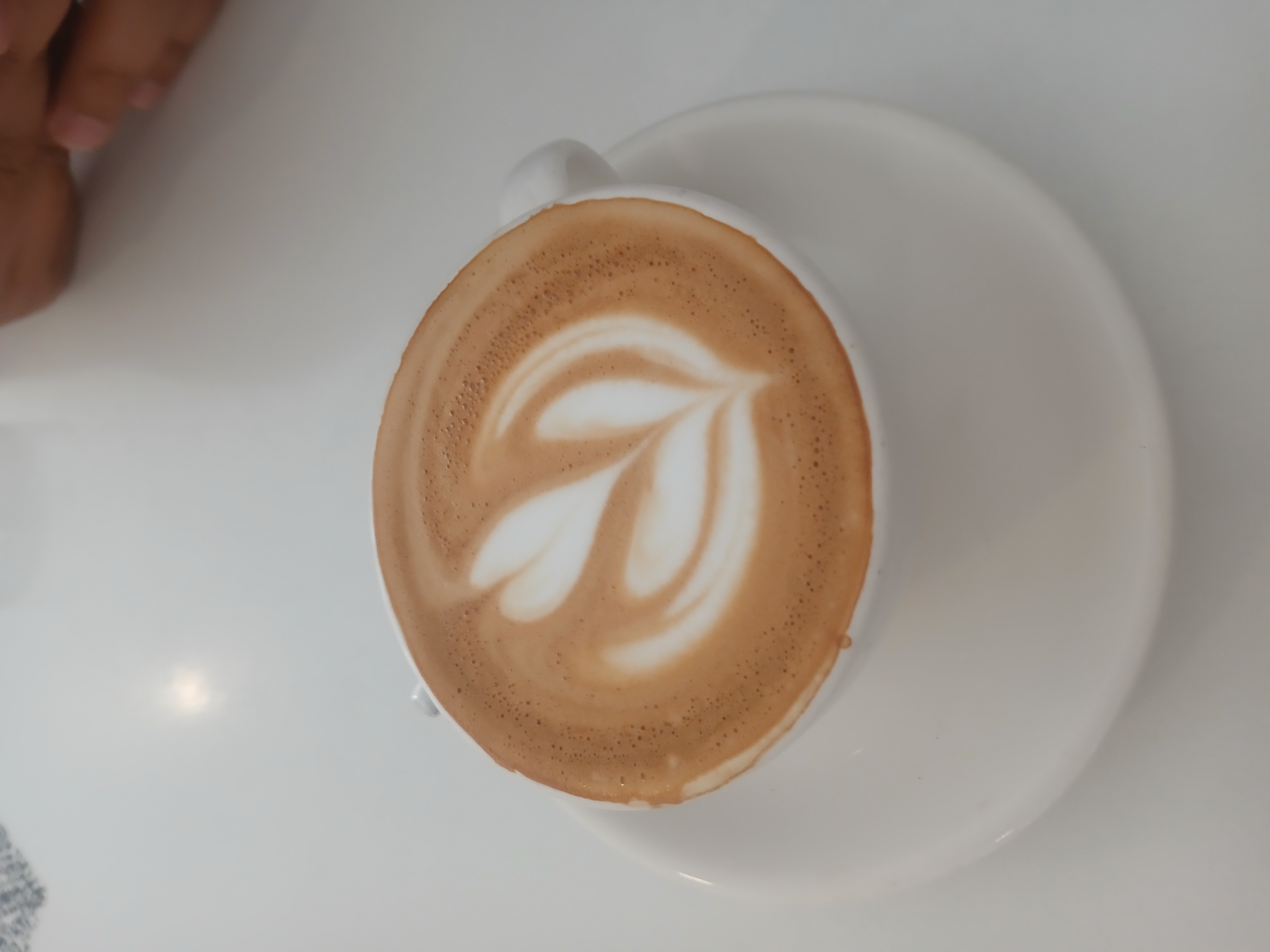 Coffee photo review barista cafe specialty coffee