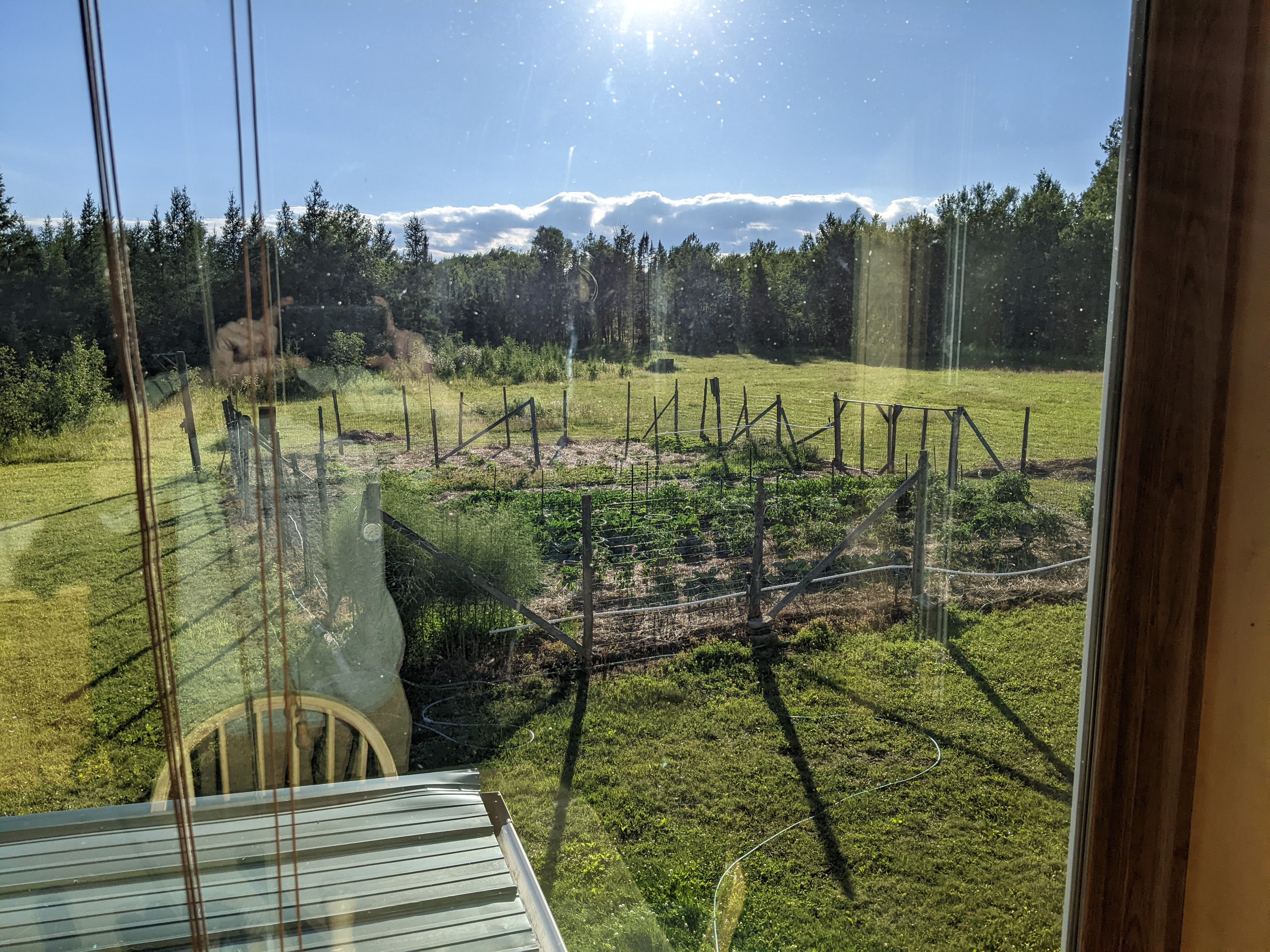 Hanging out at deer camp, away from crowds and close to nature. I'm not there now and this is a summer picture, but my favorite place to celebrate Thanksgiving. 