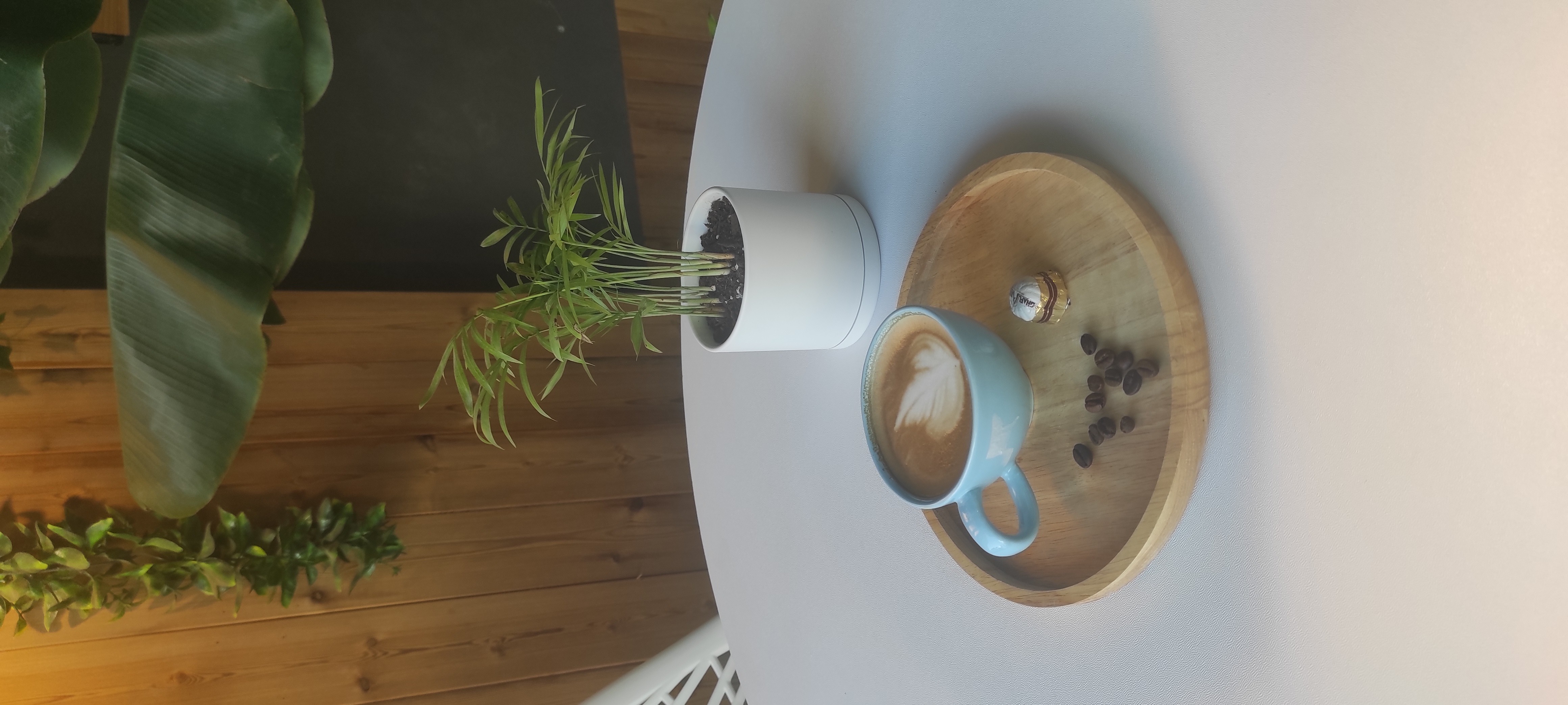 beginning of my journey ☀️🌱🍀🍃