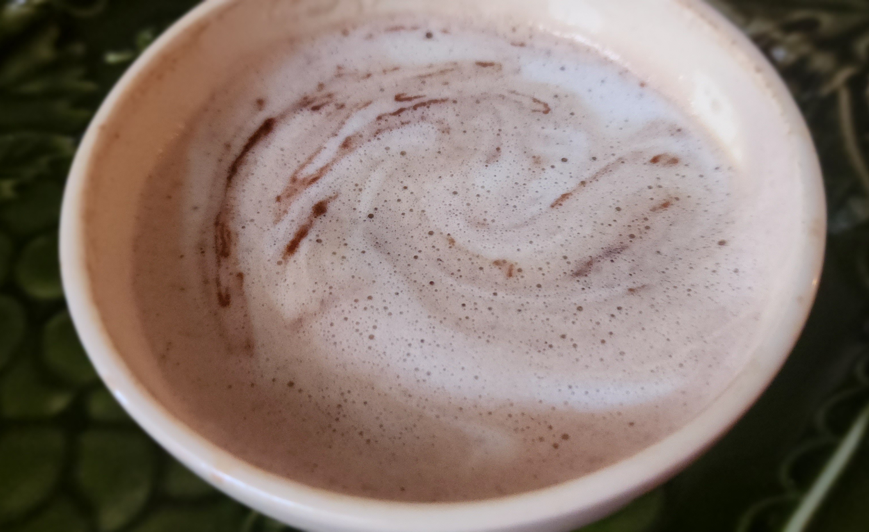 Mocha ☕ 🤎