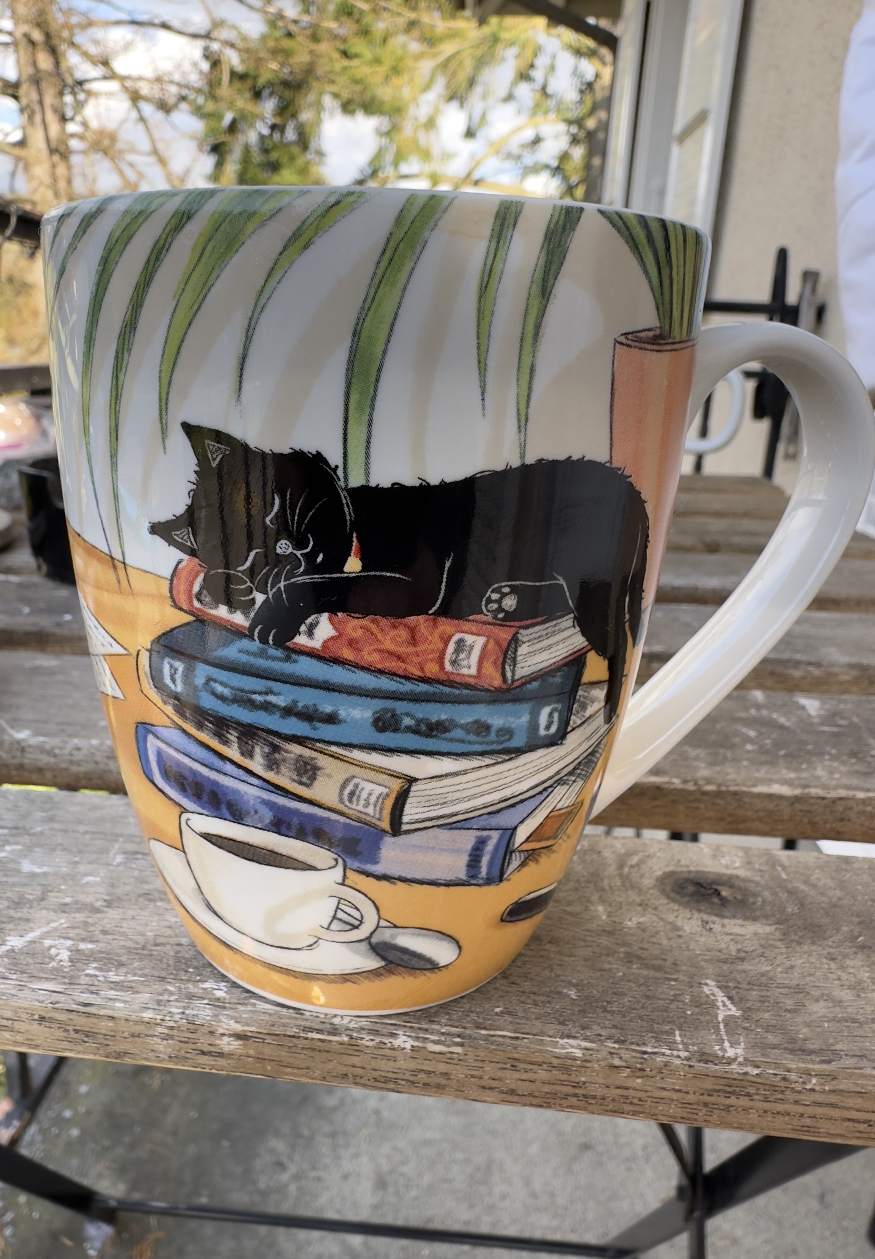 coffe, cats and books 🥰