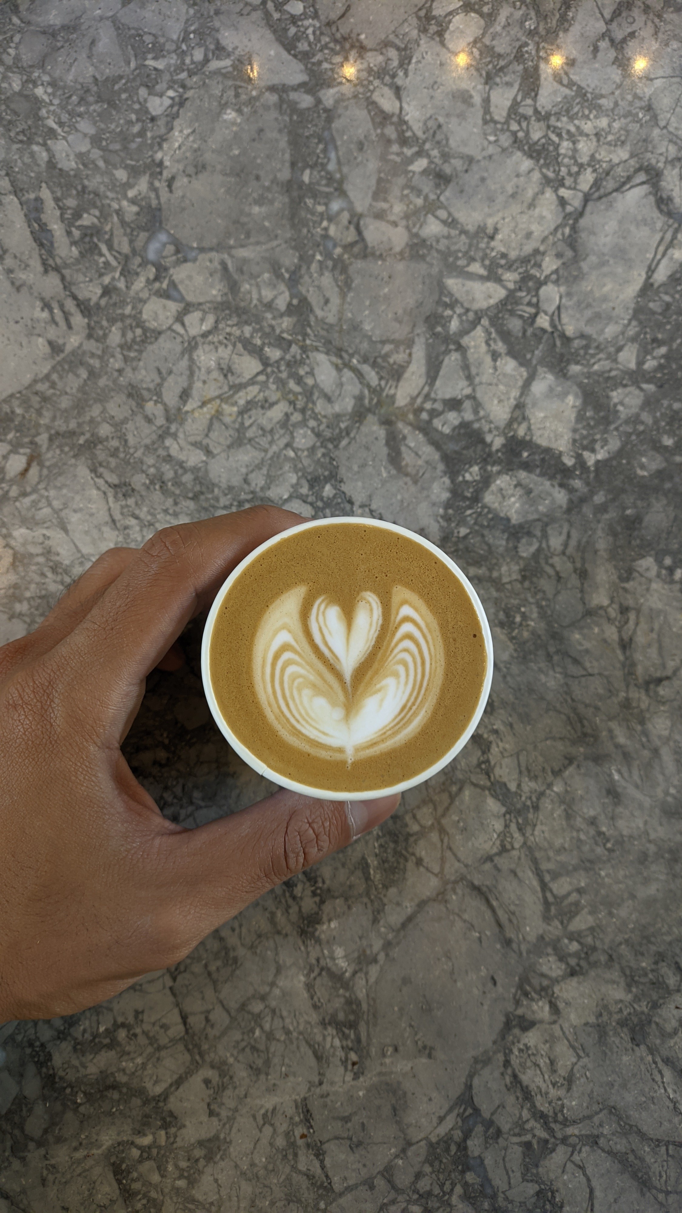 hi im new! starting my first post ever in coffeely with this cute winged-love🩶