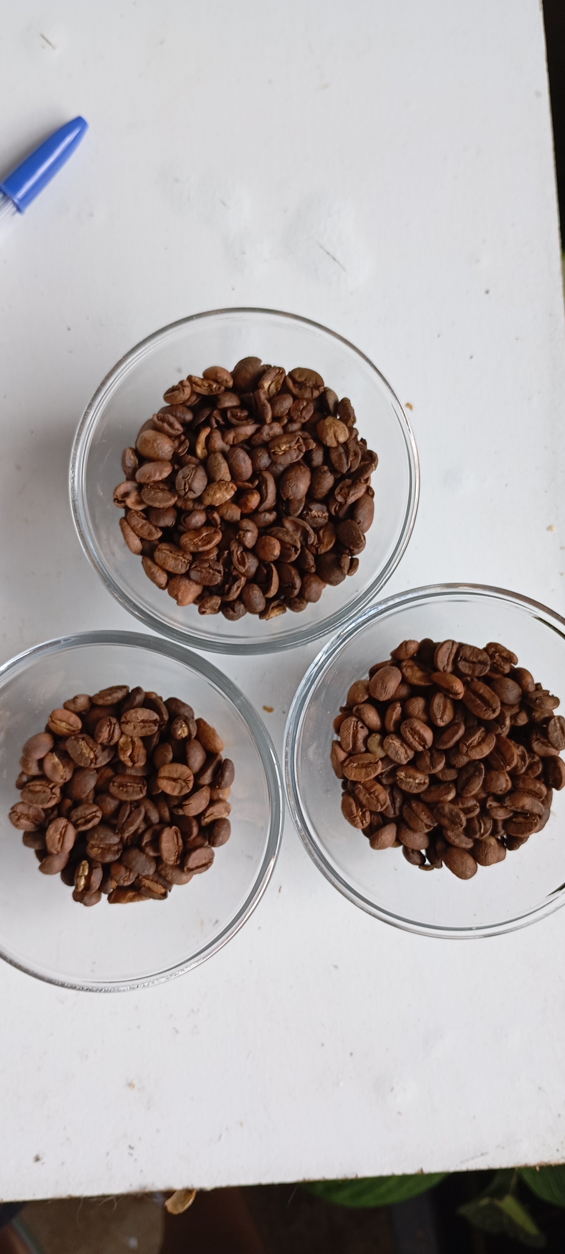 cafezinho torrado em casa comparação torrado por mim (o de cima) e outros cafés especiais de marcas destintas