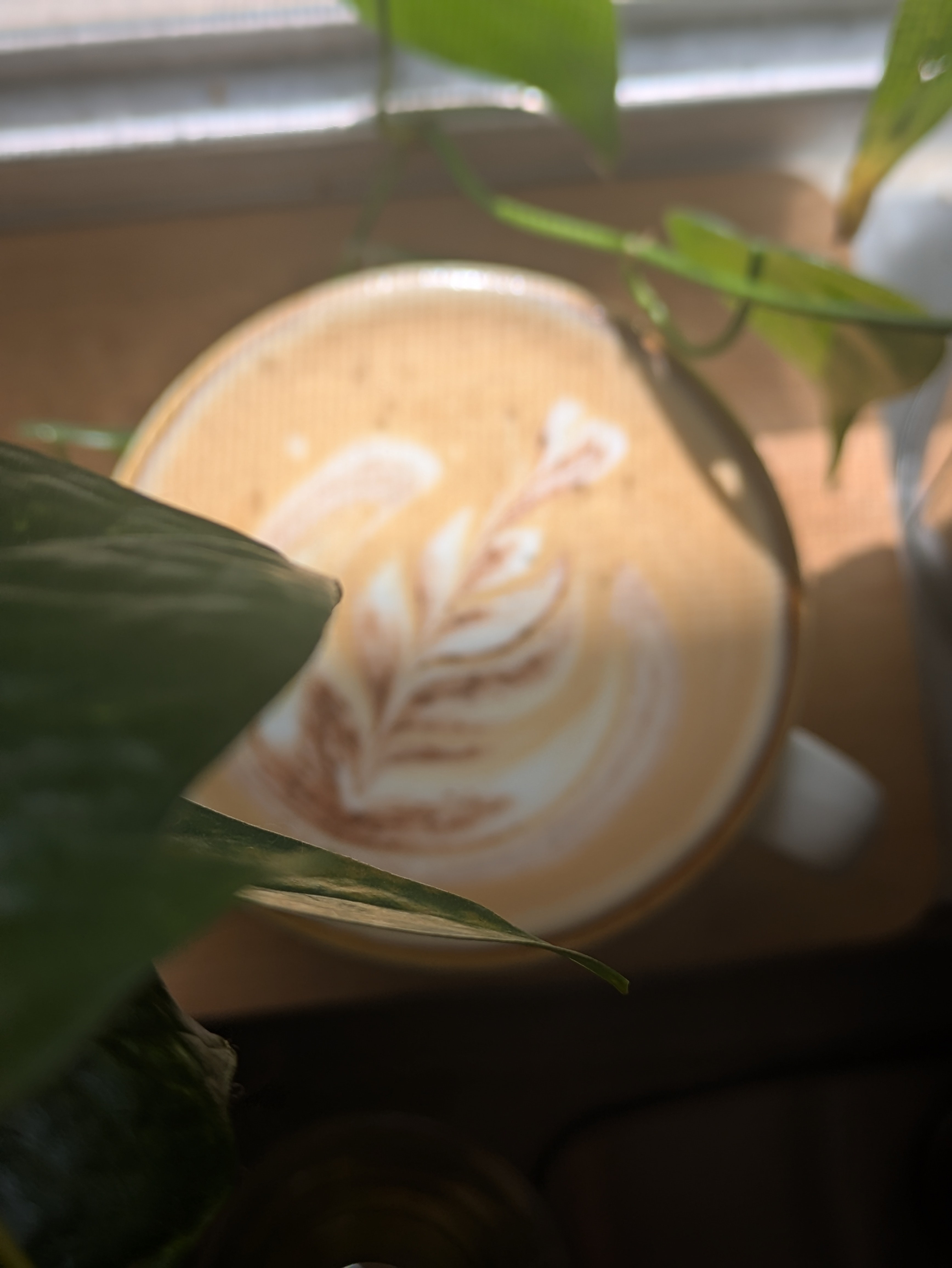Cafecito con leche y cacao de esta mañana. Recuerda seguirme💛☕
Buen café a todos!!!