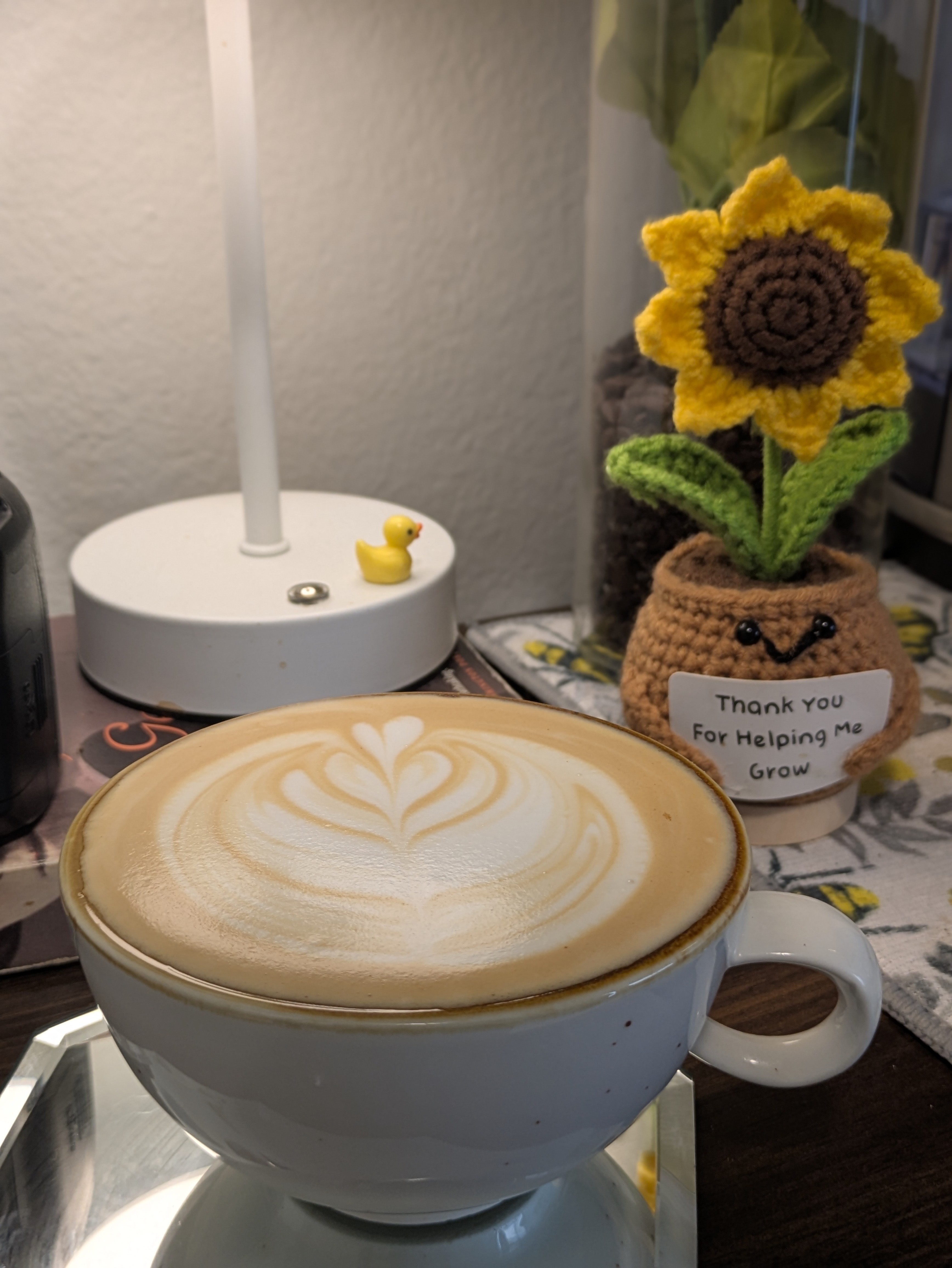 Hola🫴🤎🌿☕