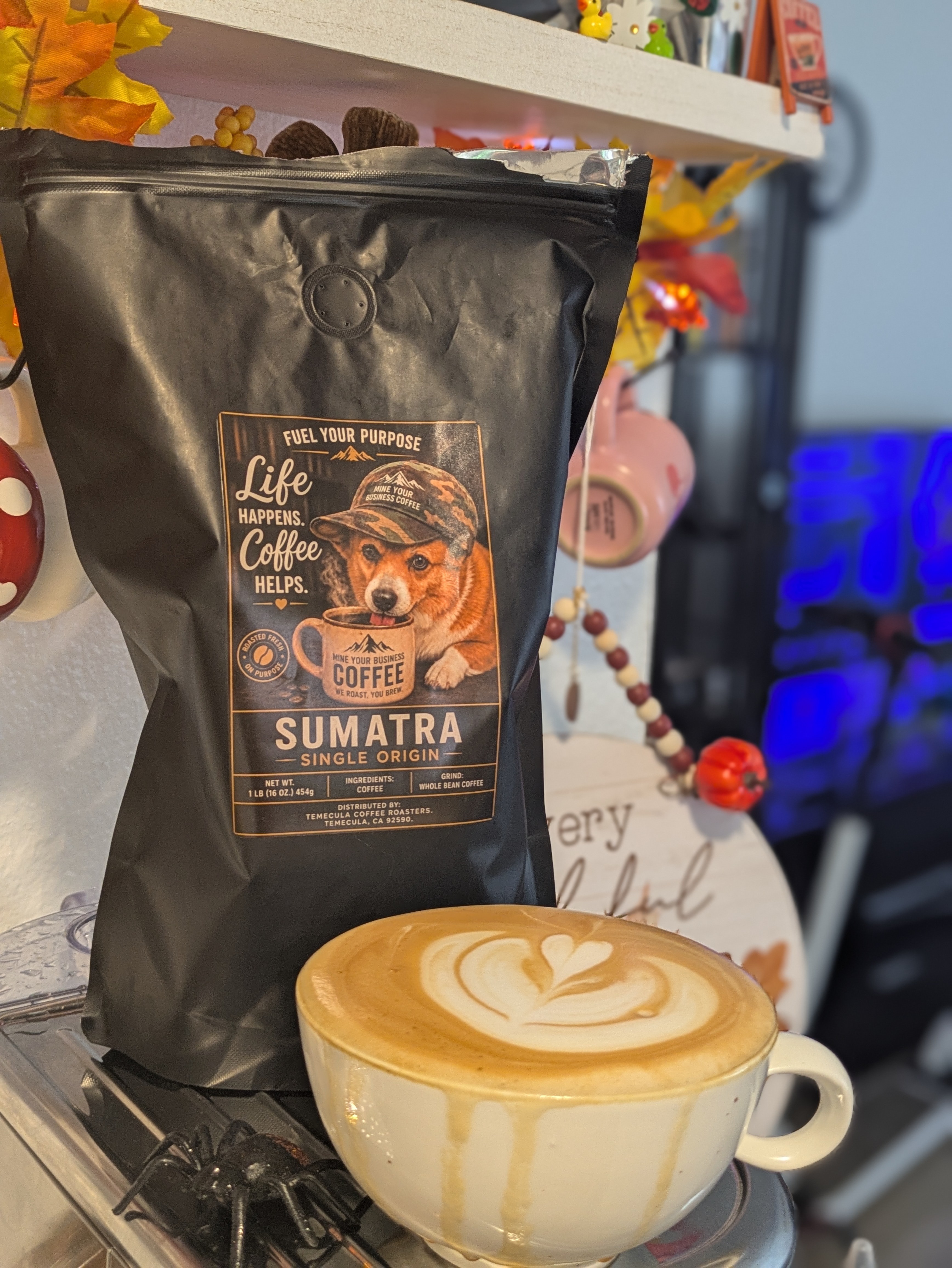 Sumatra 💛💛