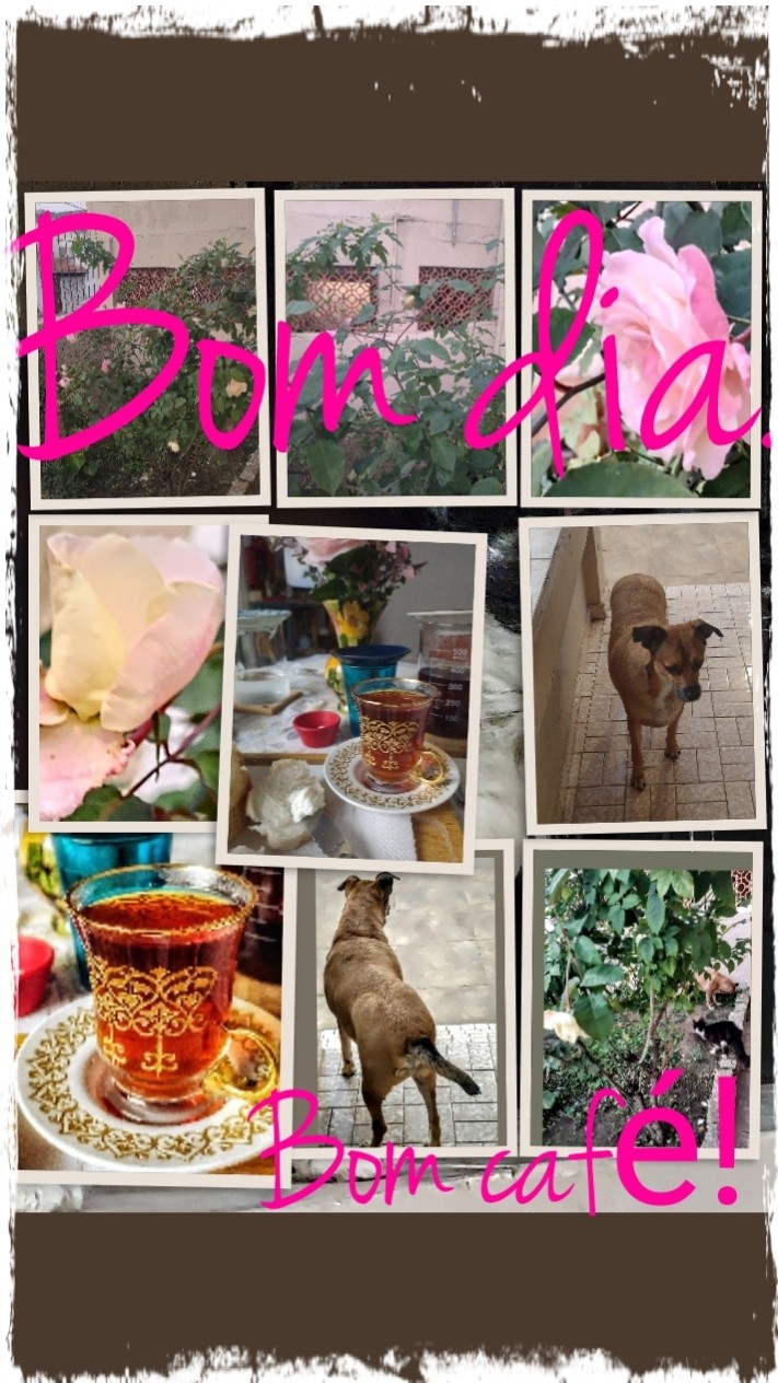Série café da manhã 
#cafédamanhã 

Bom dia.

Já verifiquei as rosas do jardim, o Chico e o Frajola ajudaram, fiz um cafezão moído na hora, um 