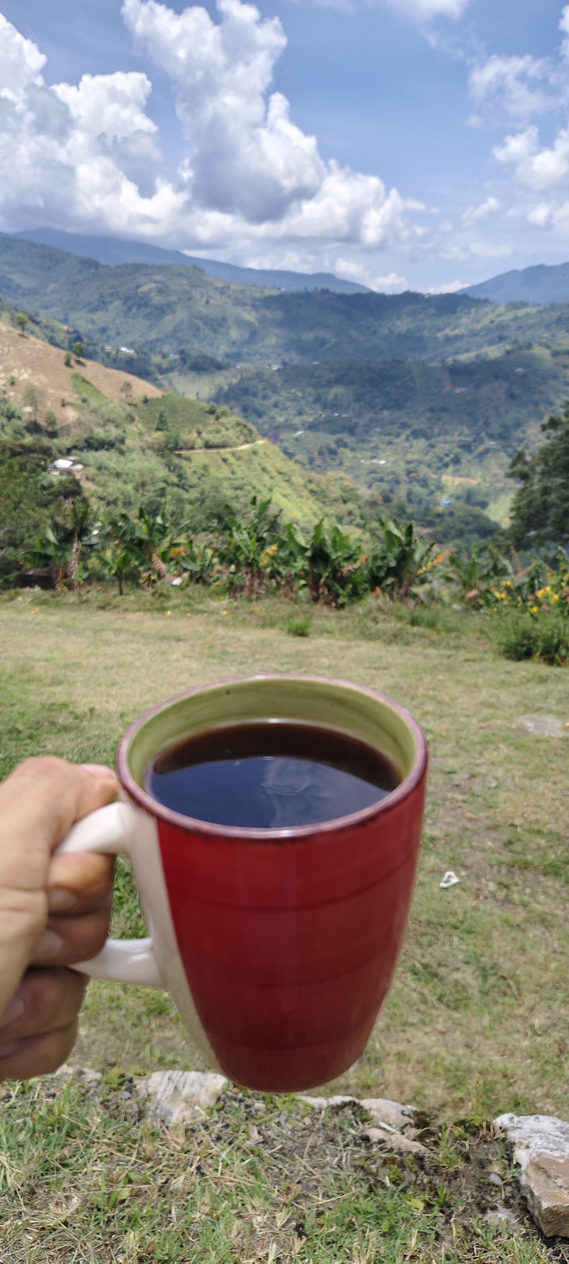 buena vista y buen café 