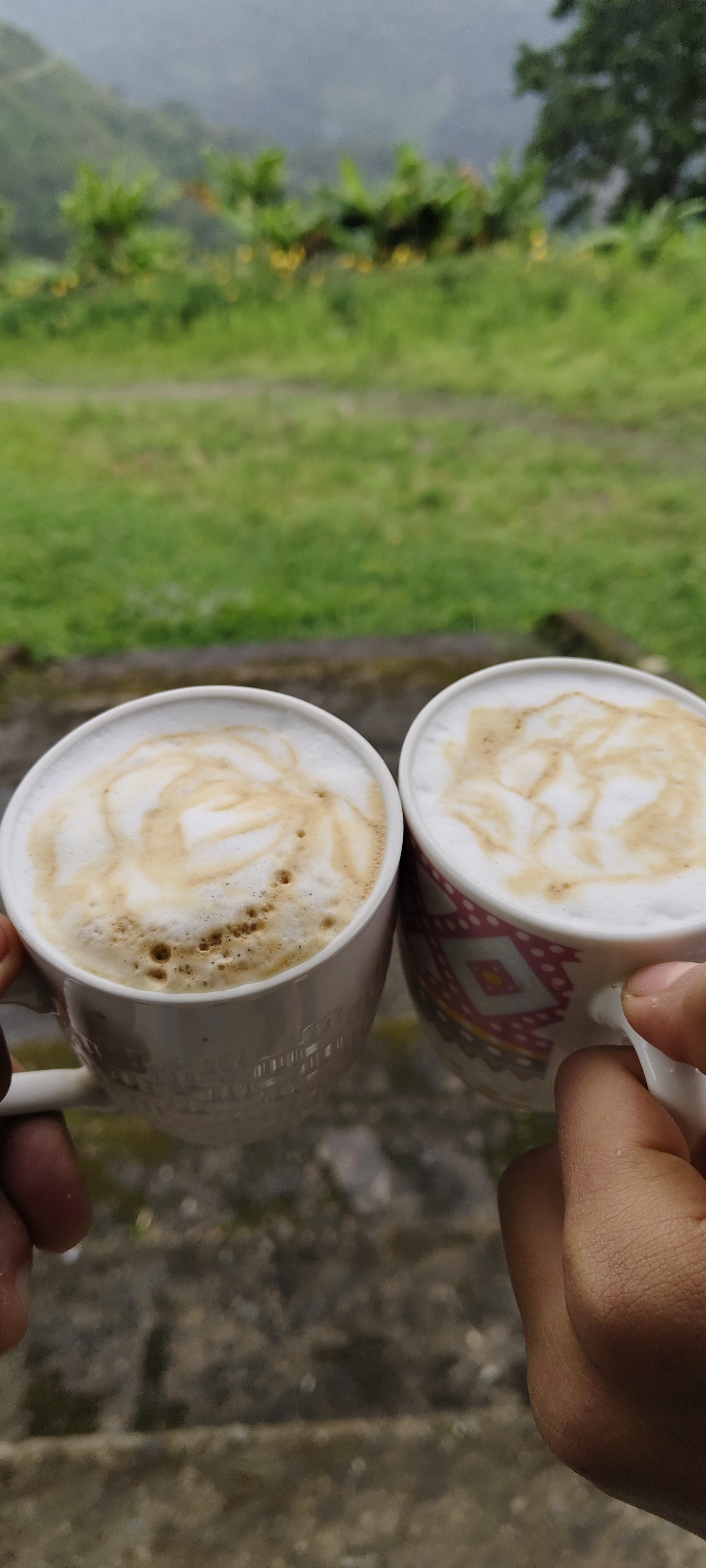 en la moka en lugar de agua pongo leche, aparte espumo leche en la prensa francesa, y sirvo la espuma en el vaso, y luego agrego el contenido de la moka, y canela en polvo al gusto, y queda un capuchino exelente