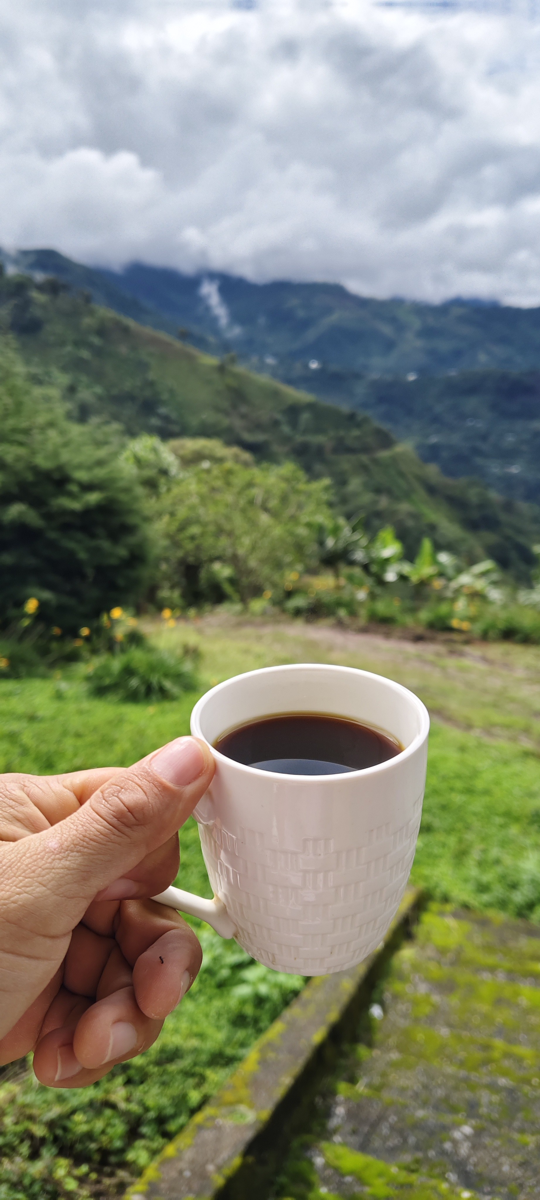 Buen día 