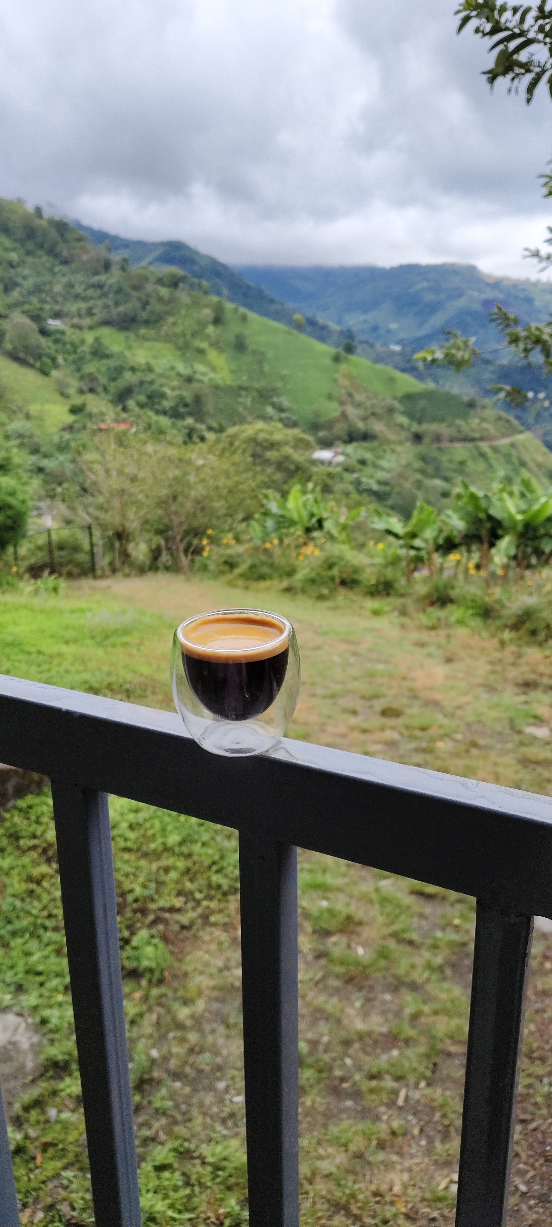 todas las mañanas luego de preparar mi café, salgo a este mirador, en mi casa y puedo contemplar está majestuosas montañas colombianas, donde cientos de caficultores madrugan a trabajas, alejado de ruidos artificiales, donde solo se escucha el cantar de las aves, el sonar del viento entre los árboles; es un momento mágico, las ideas comienzan a fluir, y el corazón se llena de paz.
