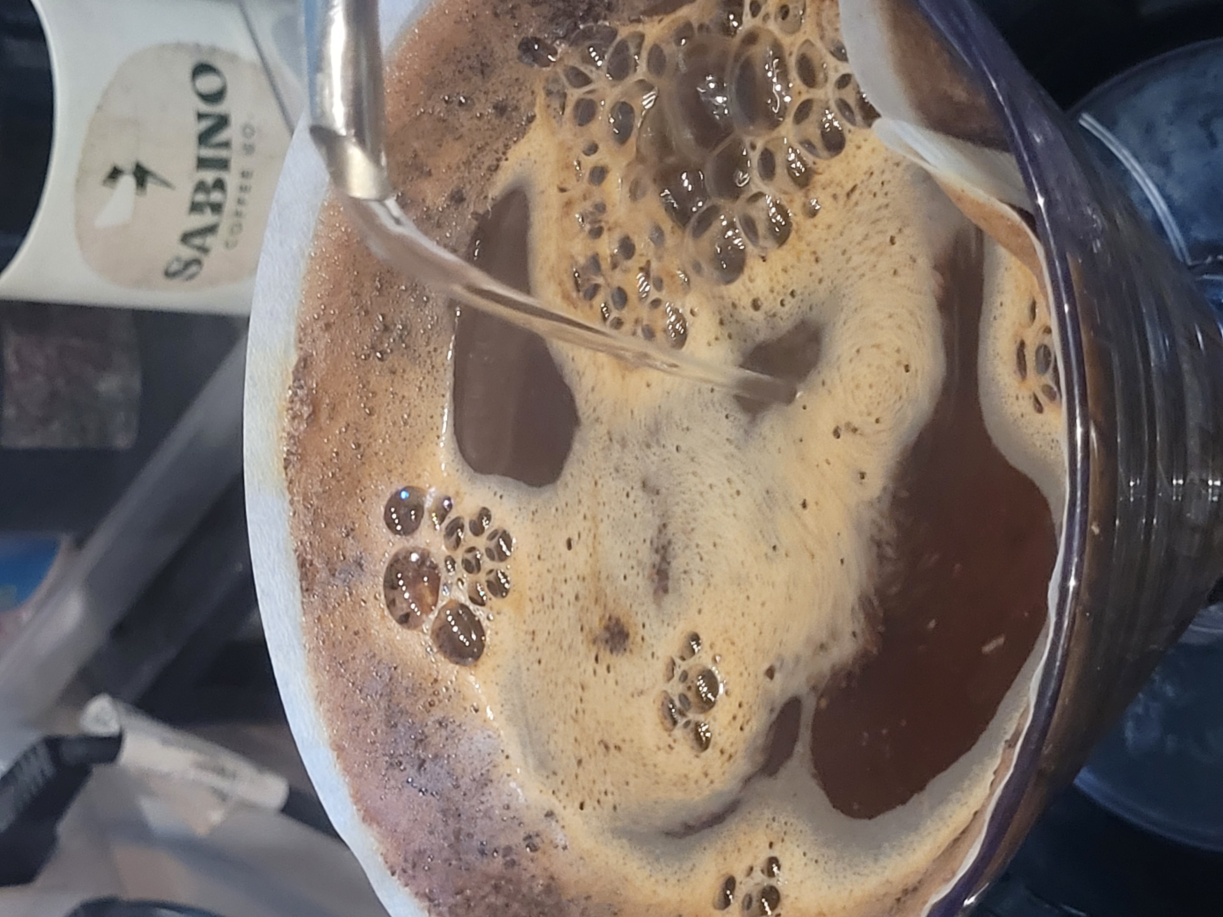 uma pena a ft não passar o cheiro 😋
v60 com grãos da Sabino coffee