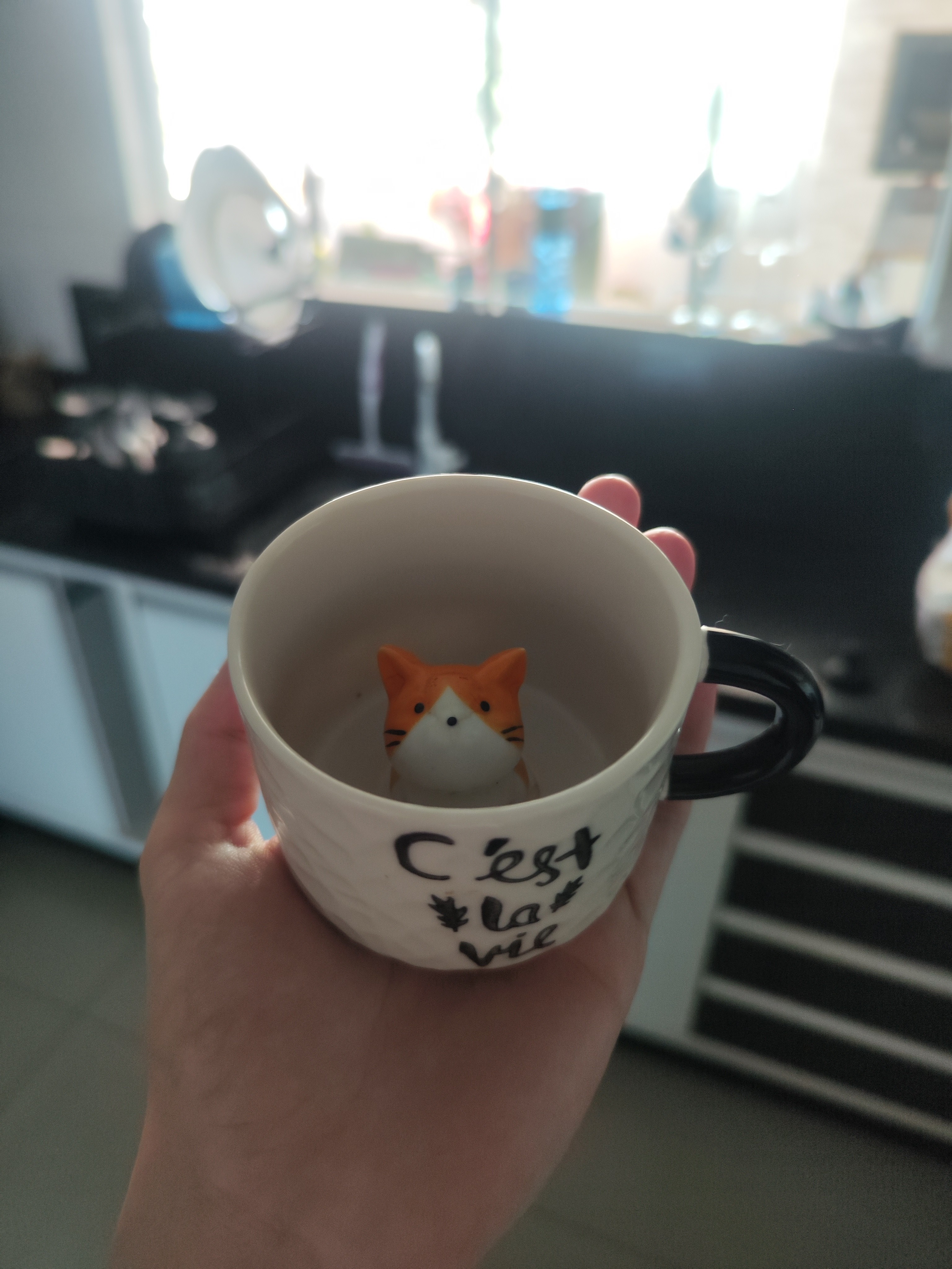 Ganhei essa caneca de uma amiga querida de amigo caneca, eu tenho 3 gatos e dois deles são laranjas 😂