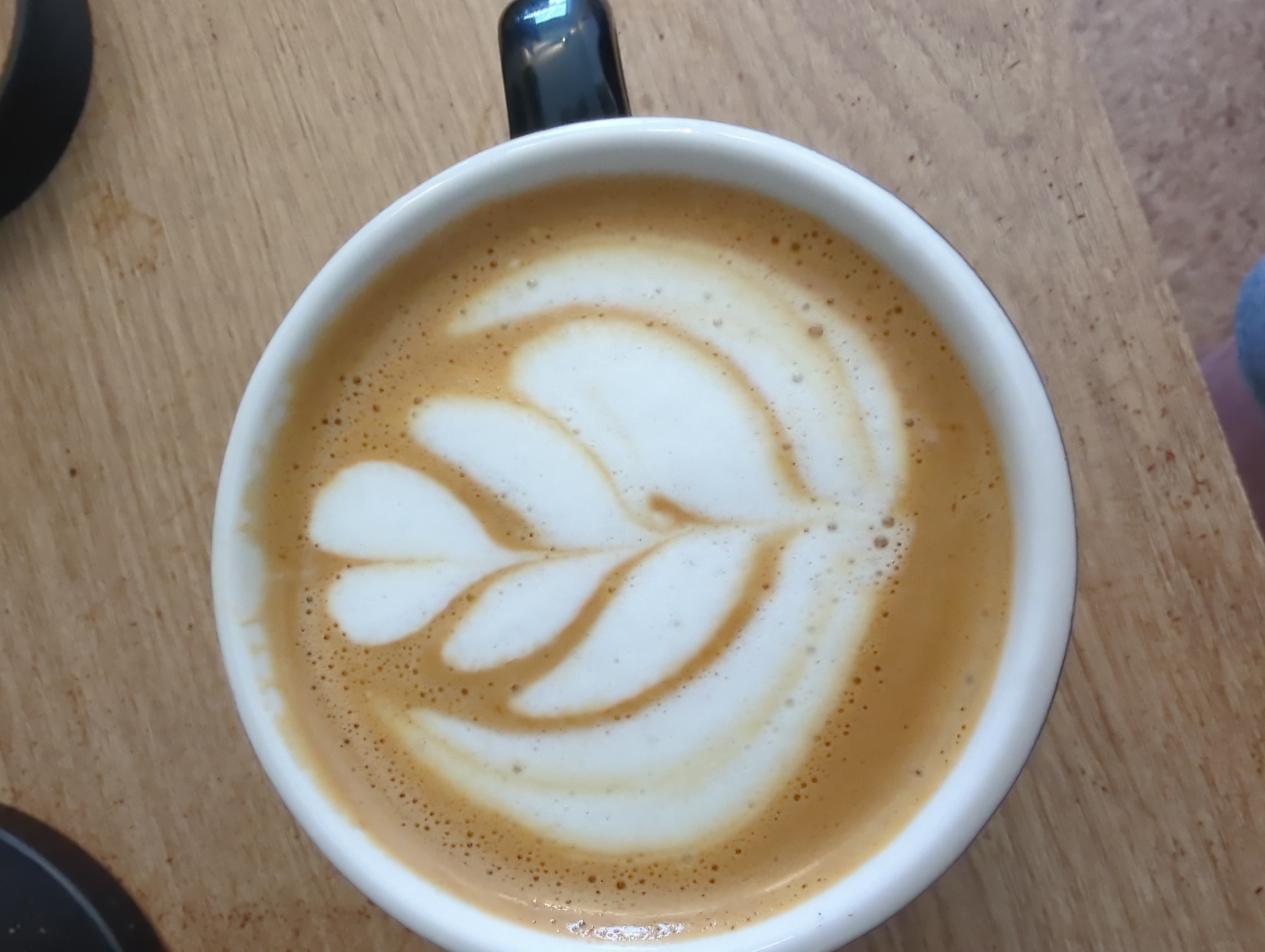 a quick morning double shot latte in a lovely place called Texel were nature shines bright and the beach is all around you.