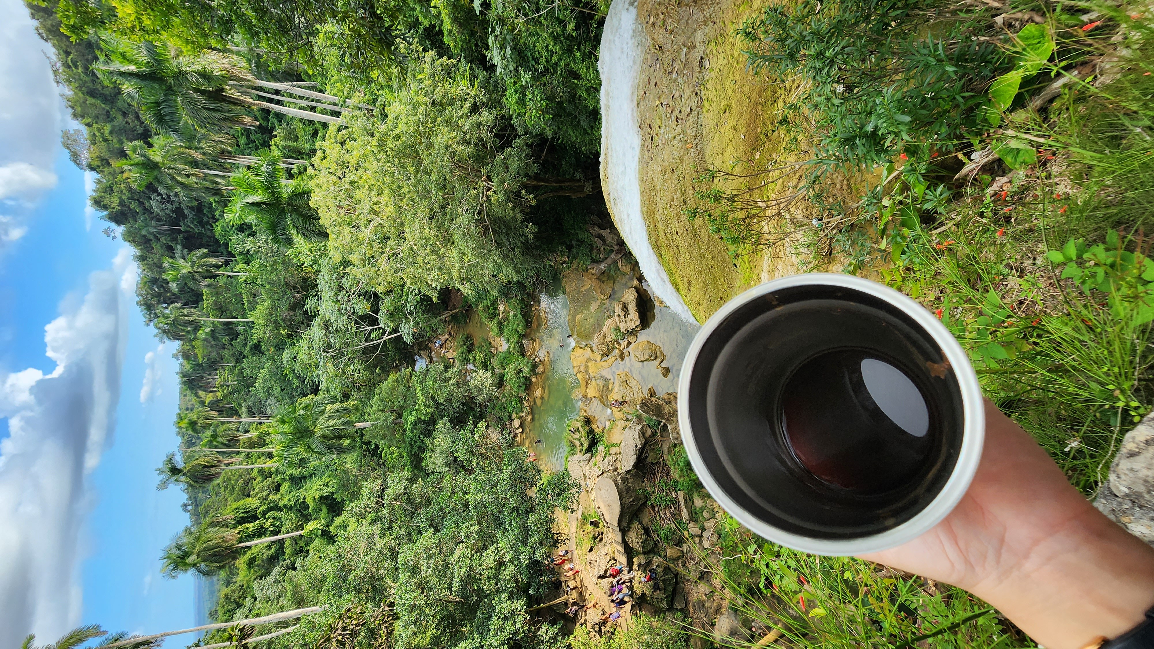 Colombian coffee 