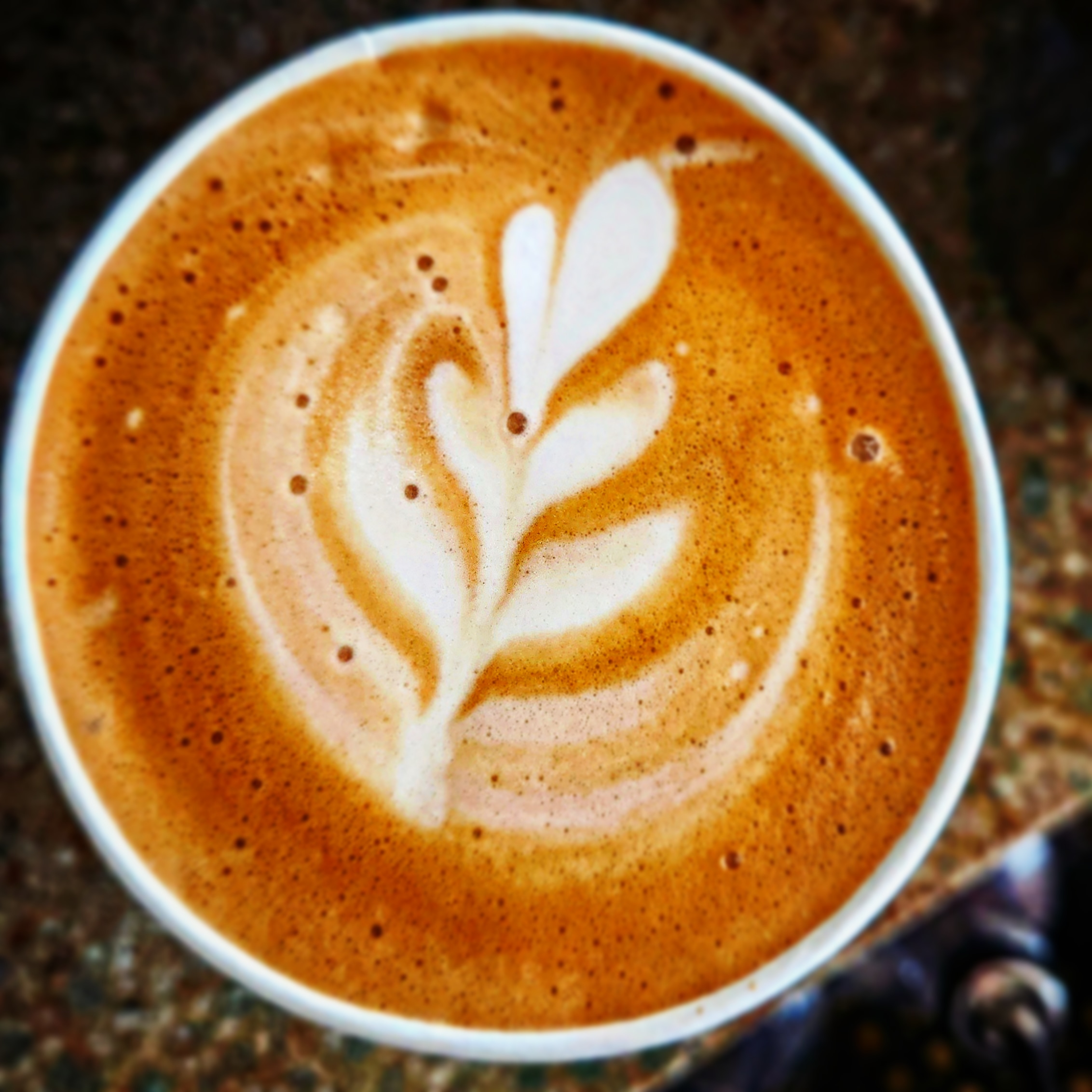 Coffee Lover