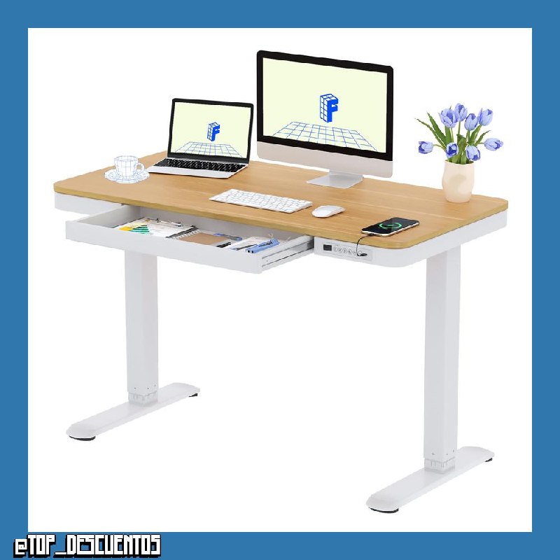 FLEXISPOT Escritorio Elevable 120x60 cm, Cajón, USB-C, Bloqueo Infantil