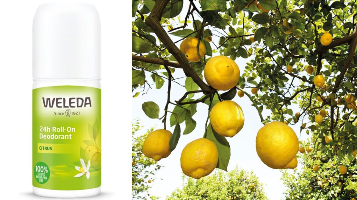 Desodorante roll-on Weleda Citrus por sólo 5,95€ (-40%)