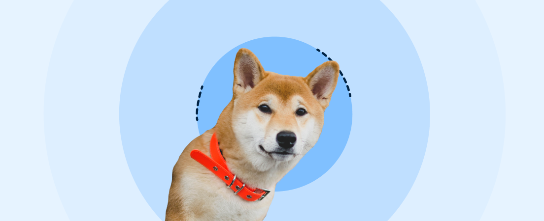 Weekly crypto news: Dogecoin launches Doge Name Service (DNS)