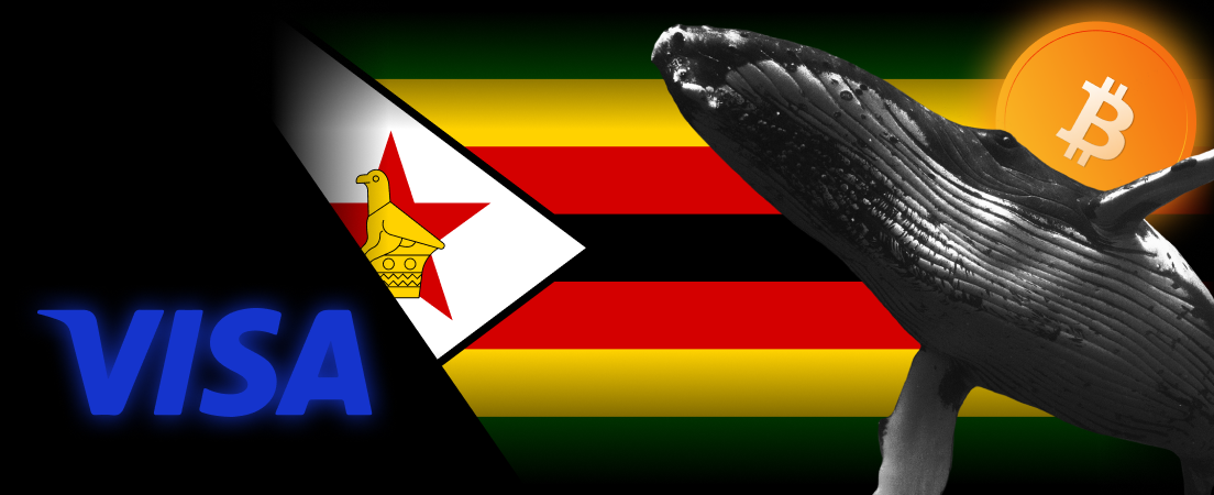 Crypto News: Zimbabwe shares plans for digital coin, and the awakening of Bitcoin whales