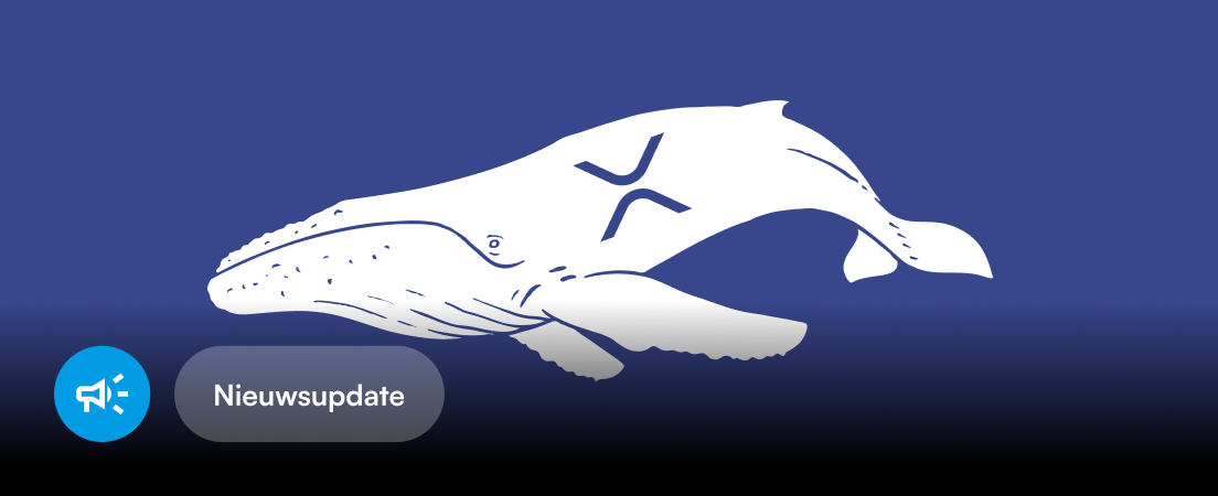 XRP-whales verplaatsen grote hoeveelheden na hoger beroep SEC in Ripple-zaak