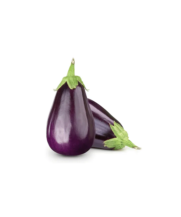 باذنجان رومى