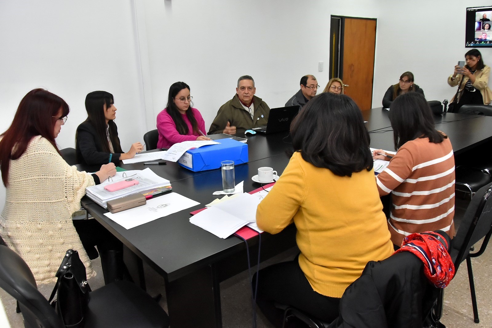 COMISION DE DESARROLLO HUMANO Y SALUD CAMARA DE DIPUTADOS