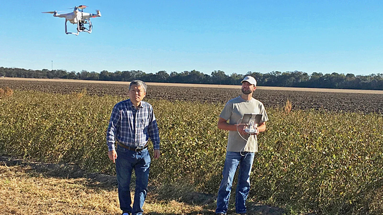 USDA Agricultural Research Service staff fly a drone over a Mississippi soybean field while researching weed detection.