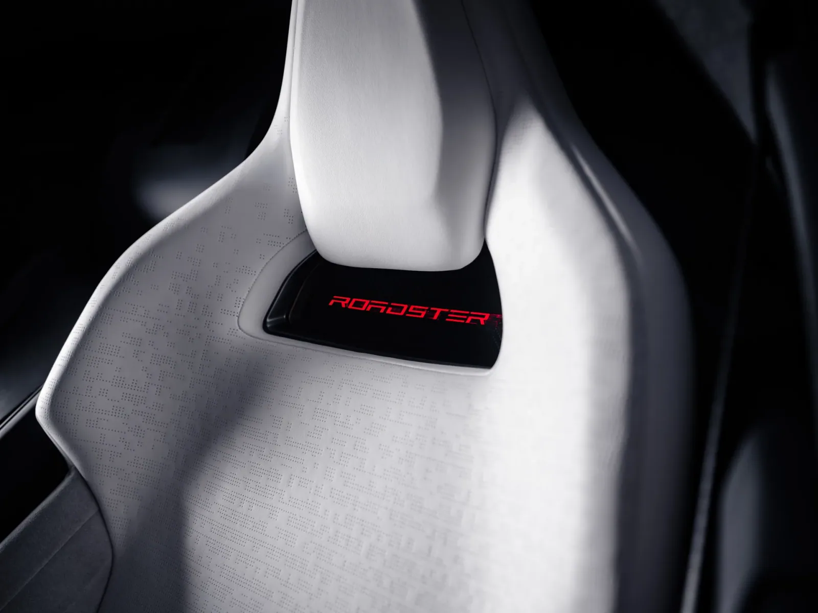 Close-up of the seat back and Roadster lettering.