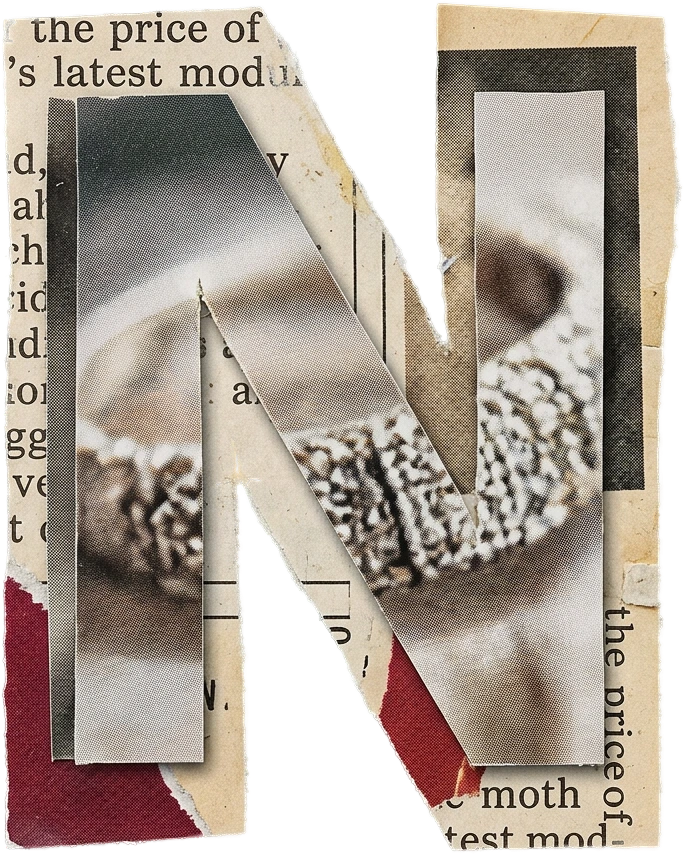 Magazine Letter N sticker preview
