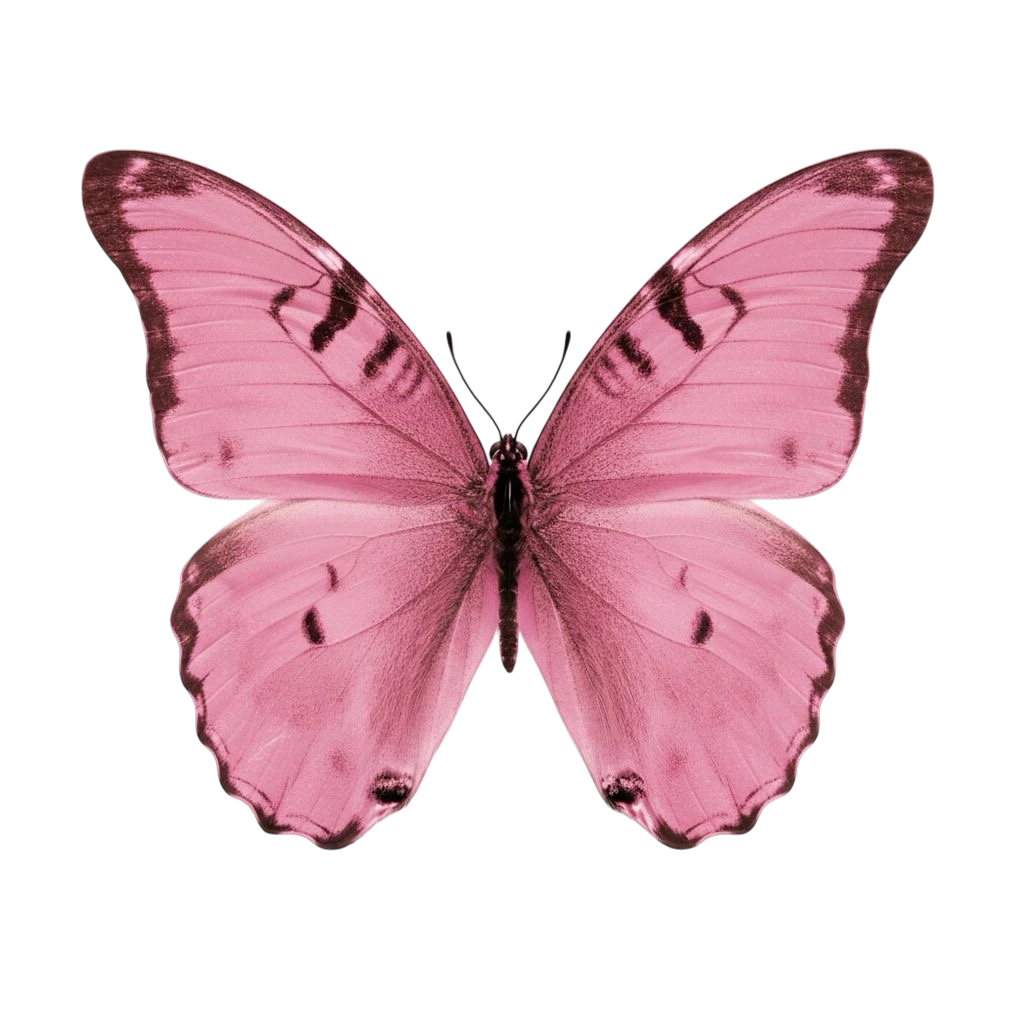 Butterfly sticker preview