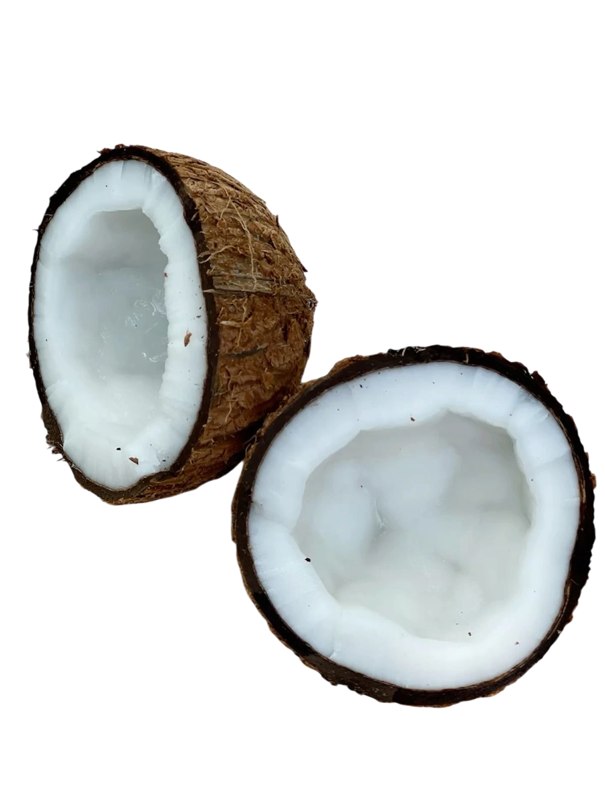 Coconut sticker preview